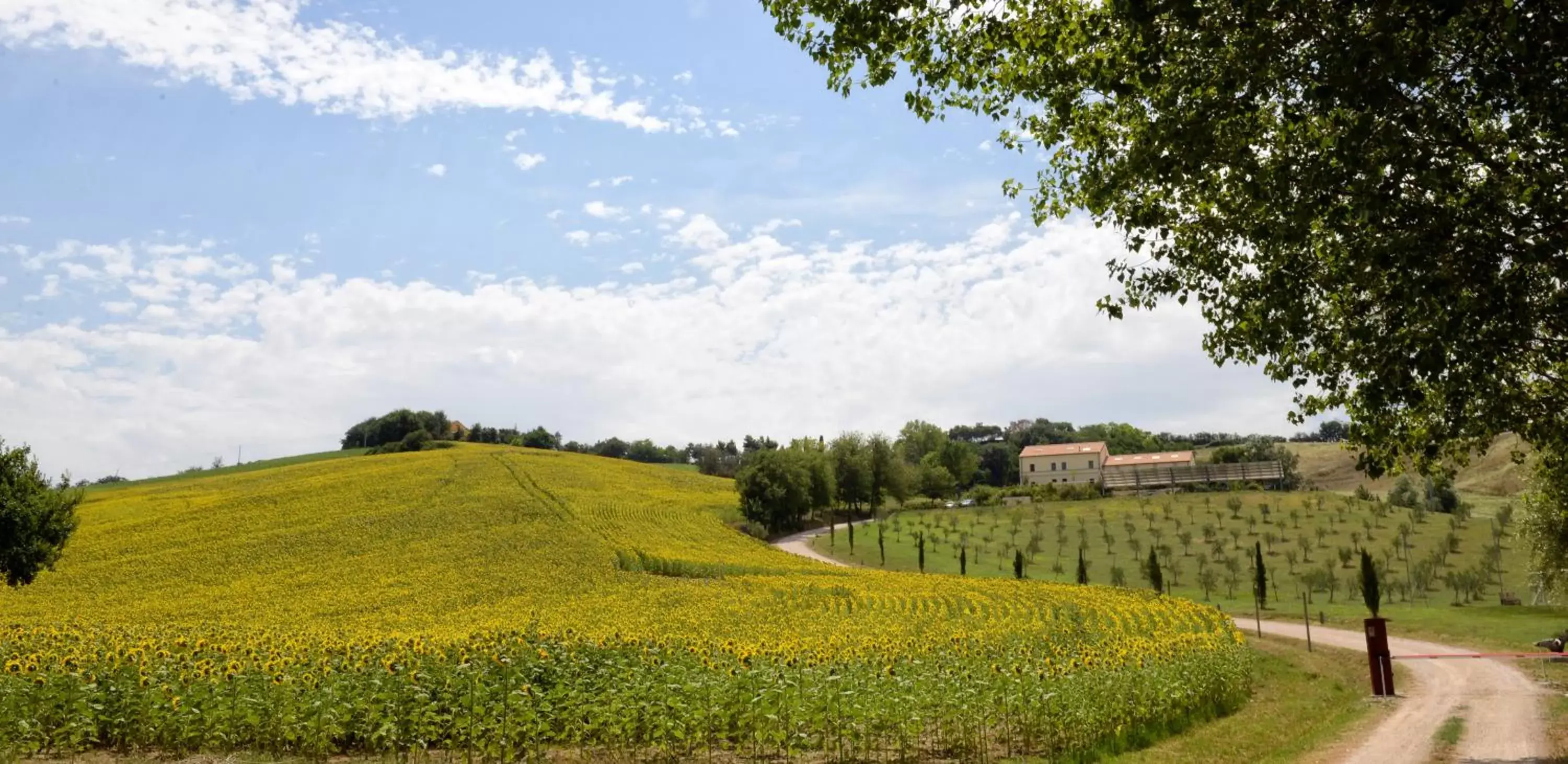 Other, Garden in Resort Il Gallo Senone