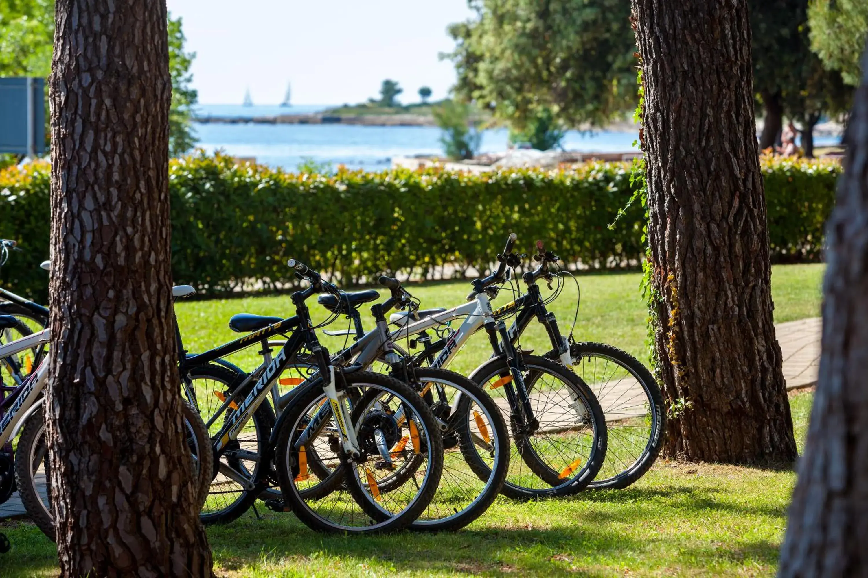 Cycling, Garden in Hotel Aurora Plava Laguna