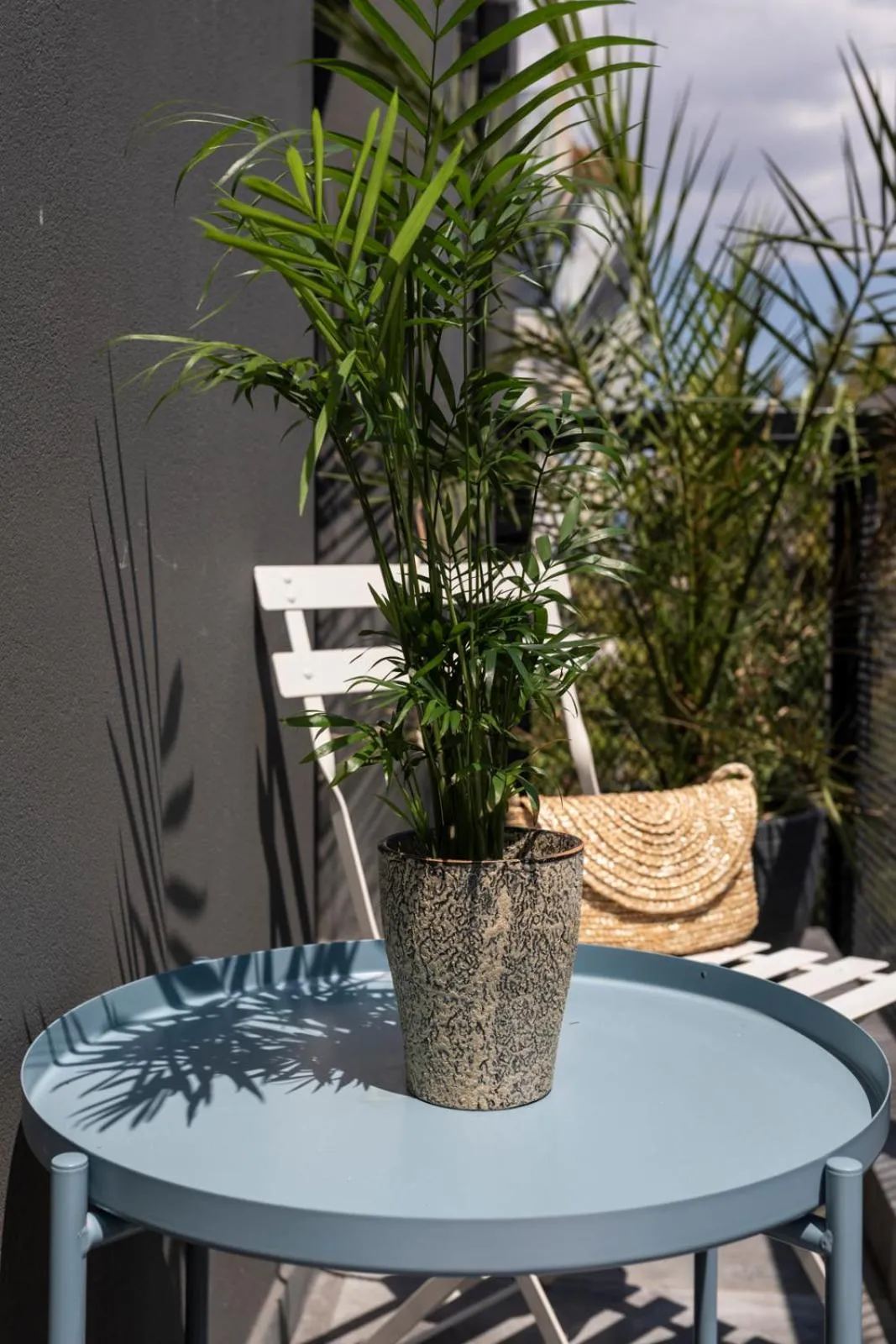 Balcony/Terrace in Melo Athens