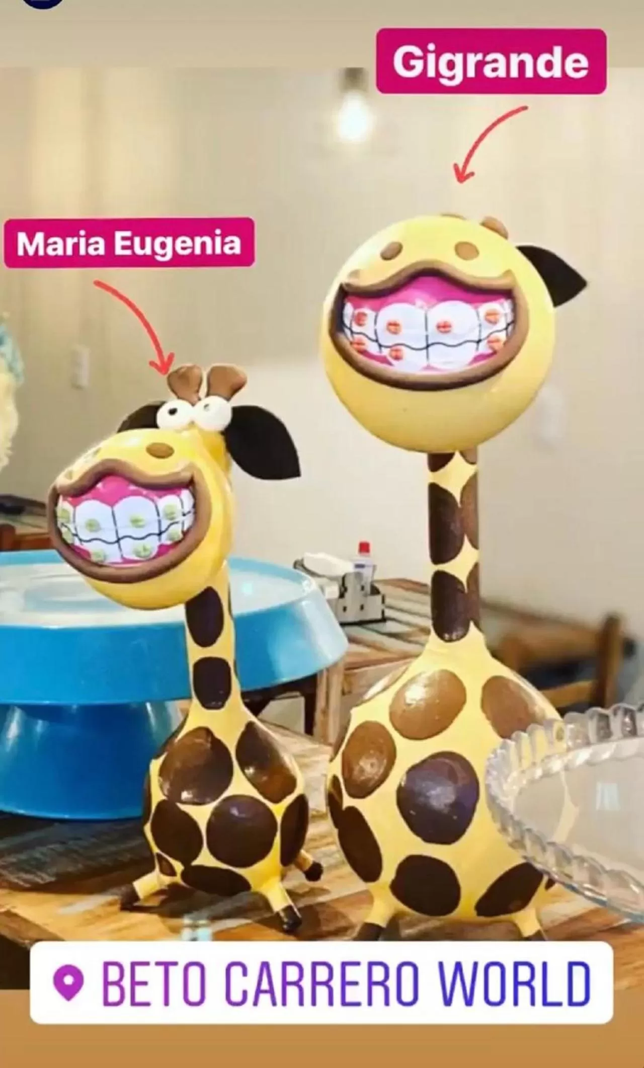 Decorative detail in Pousada Caminho Dos Sonhos