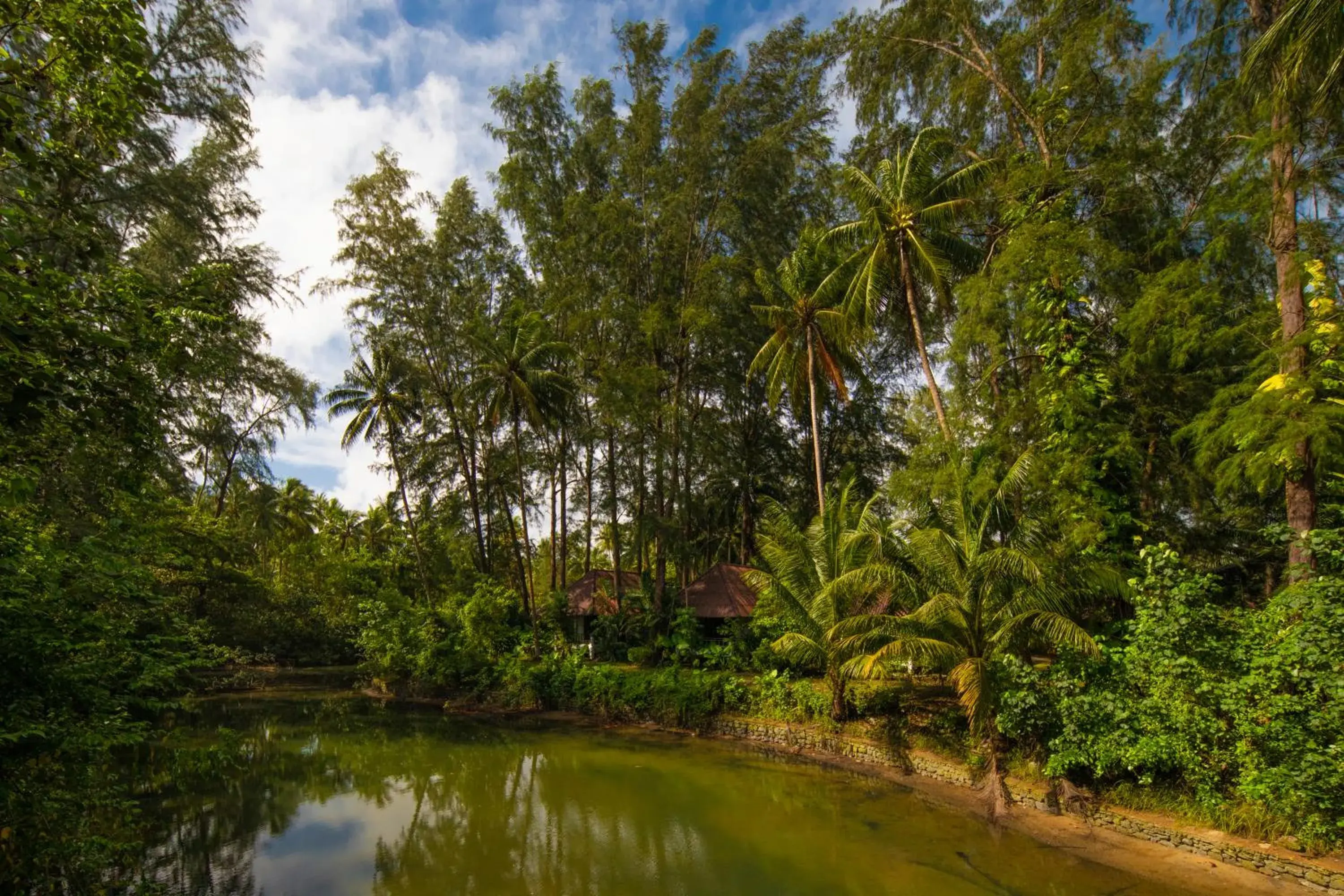 View (from property/room) in Haadson Resort - Khaolak, Phangnga