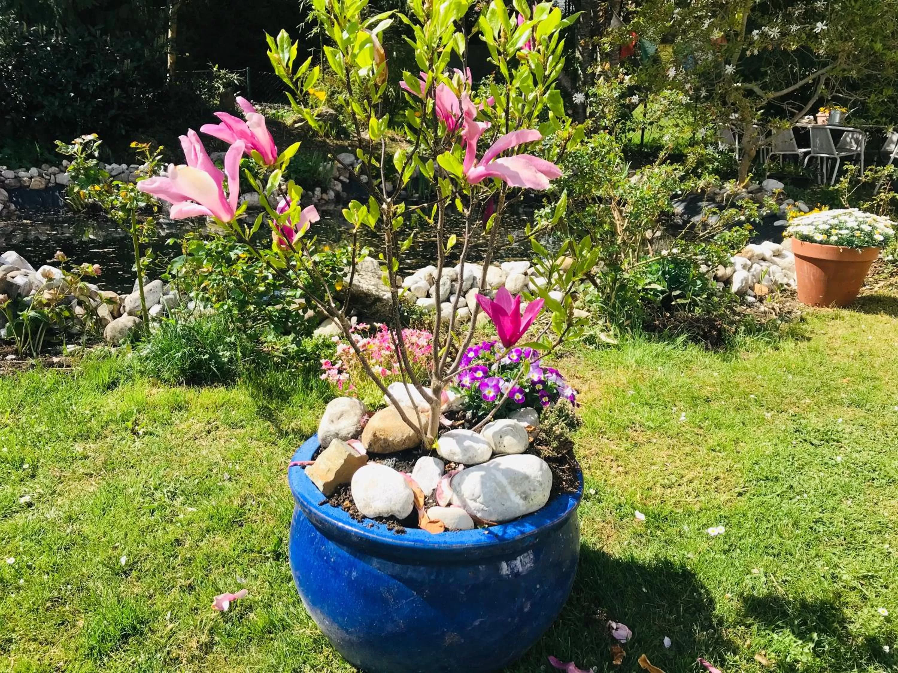 Garden in Bed and Breakfast Bavaria München