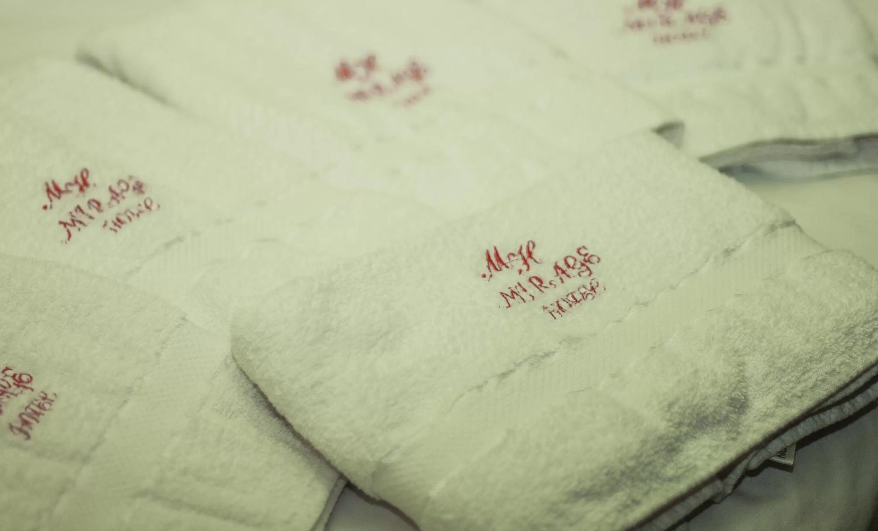 Area and facilities in Mirage Hotel