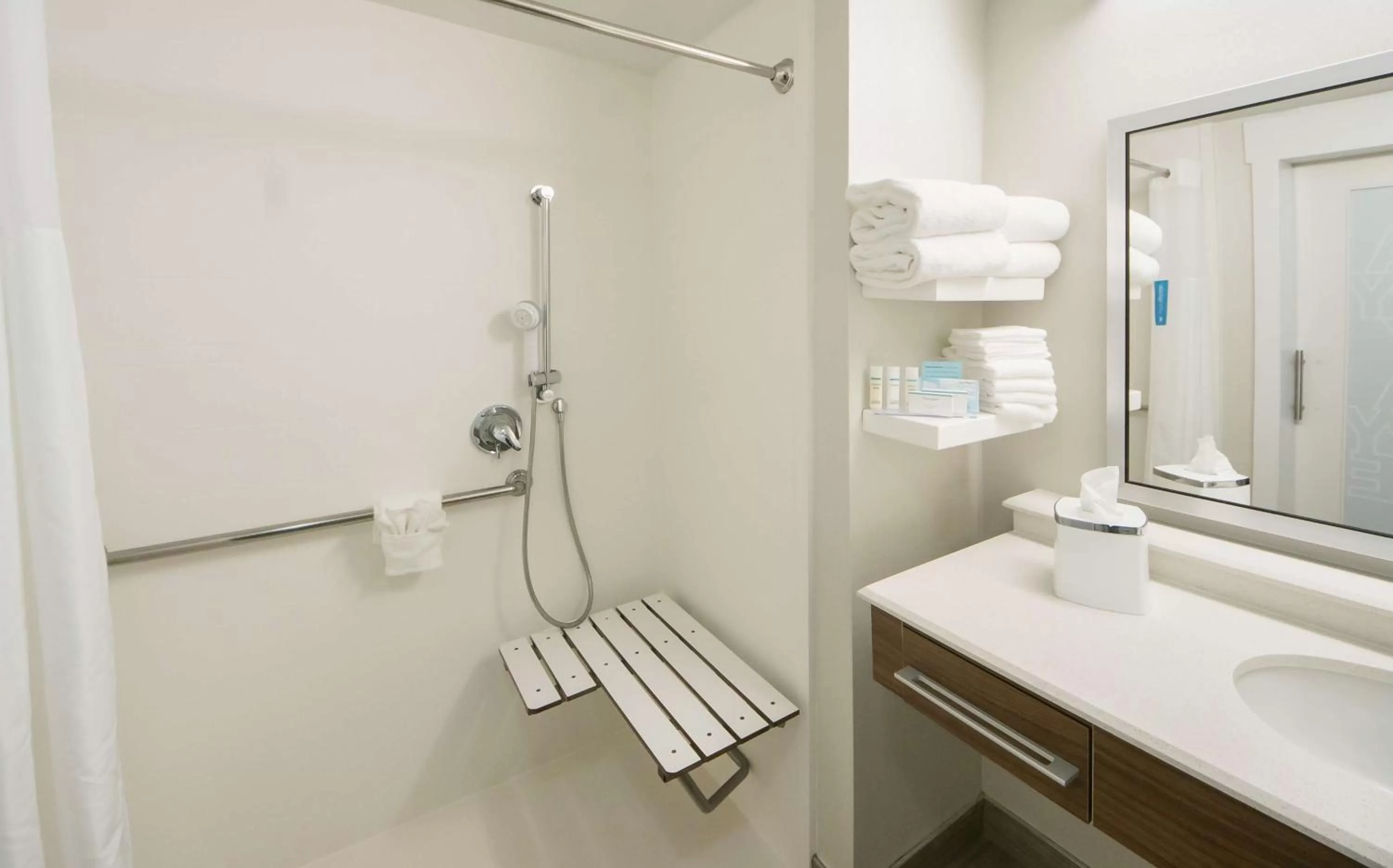 Bathroom in Hampton Inn Lakeland