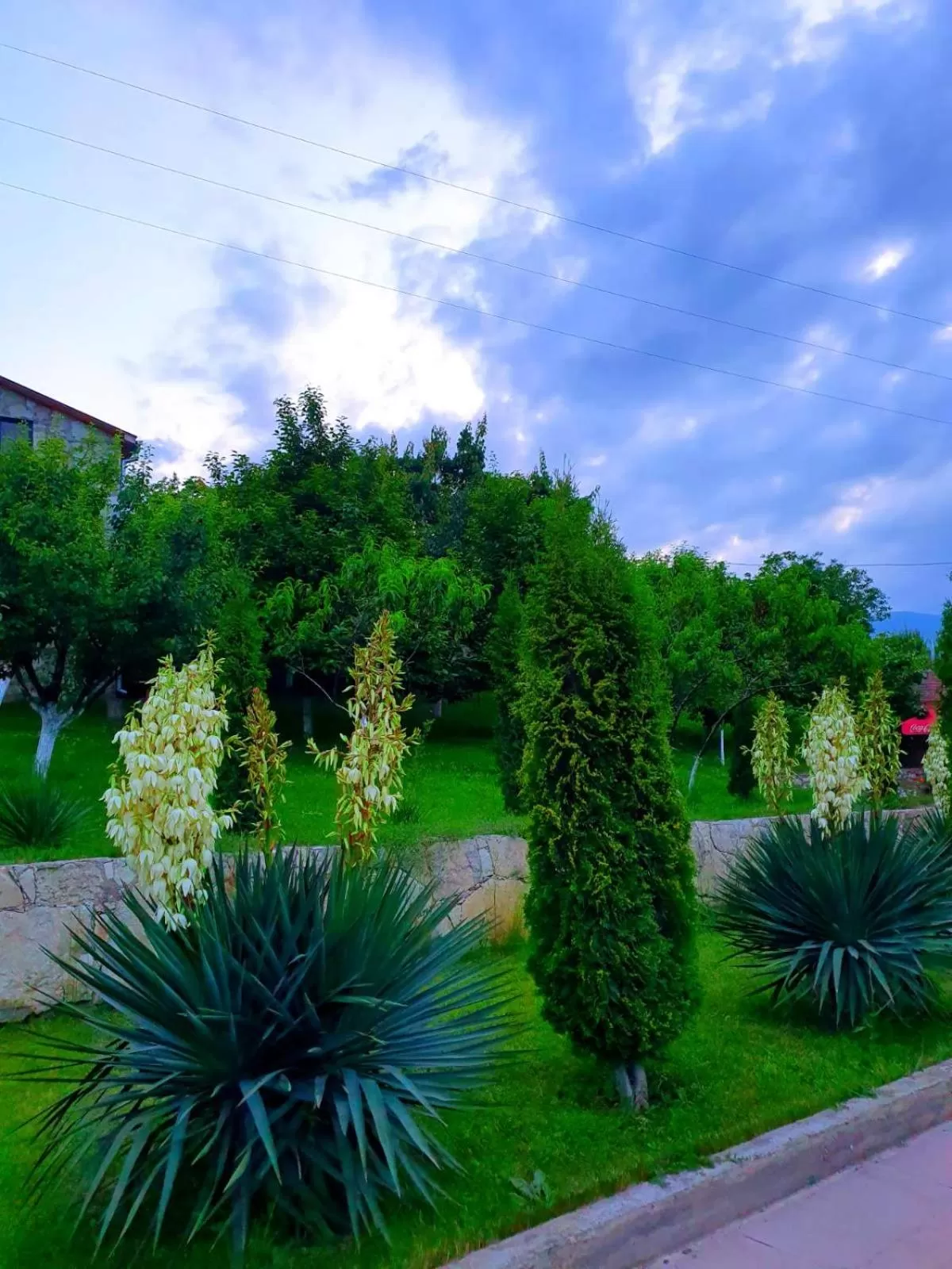 Spring in Guest House Ijevan's Garden