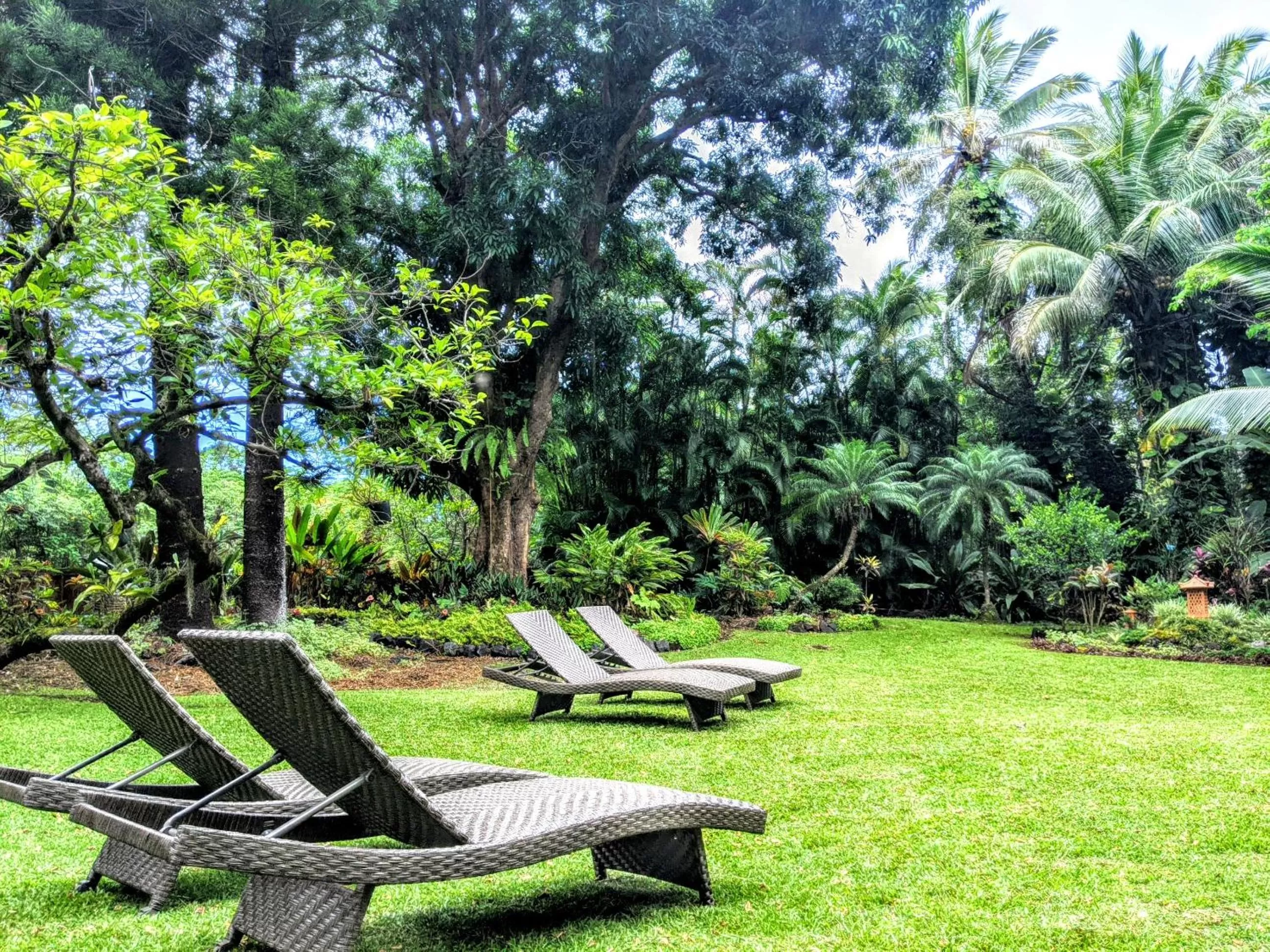 Garden in Kehena Mauka Nui Club LGBTQIA+ Clothing Optional