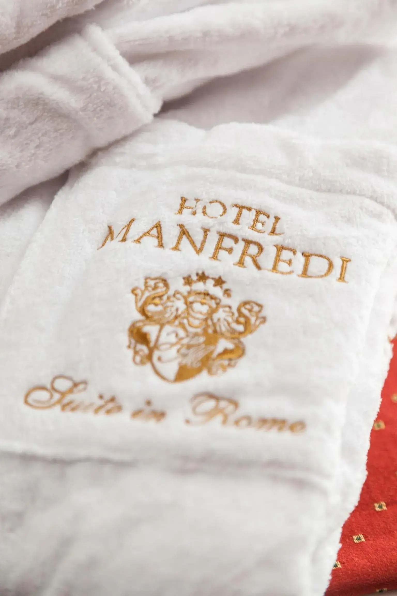 Area and facilities in Hotel Manfredi Suite In Rome