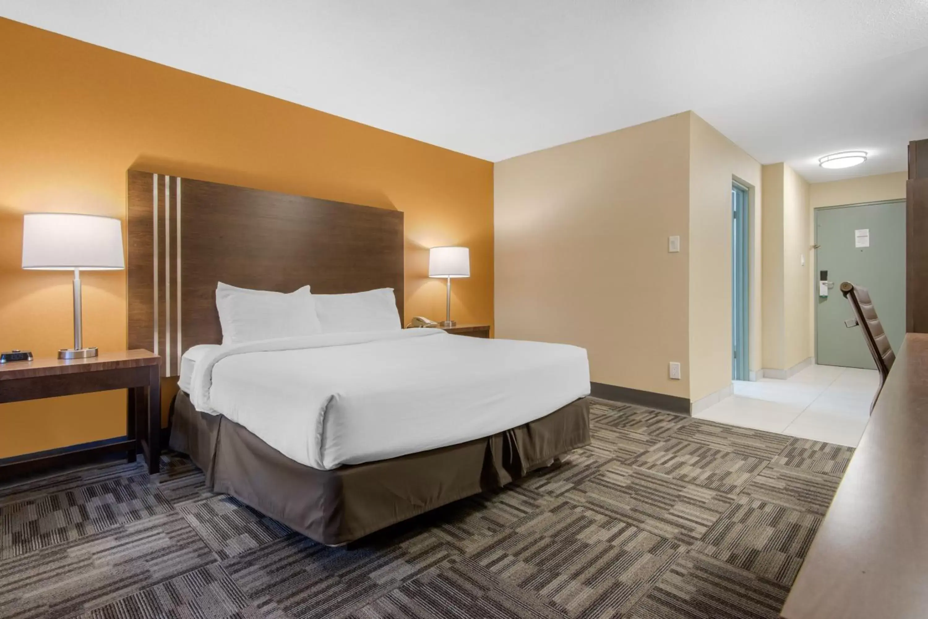 Photo of the whole room, Bed in Quality Inn & Conference Centre Photo of the whole room, Bed in Quality Inn & Conference Centre