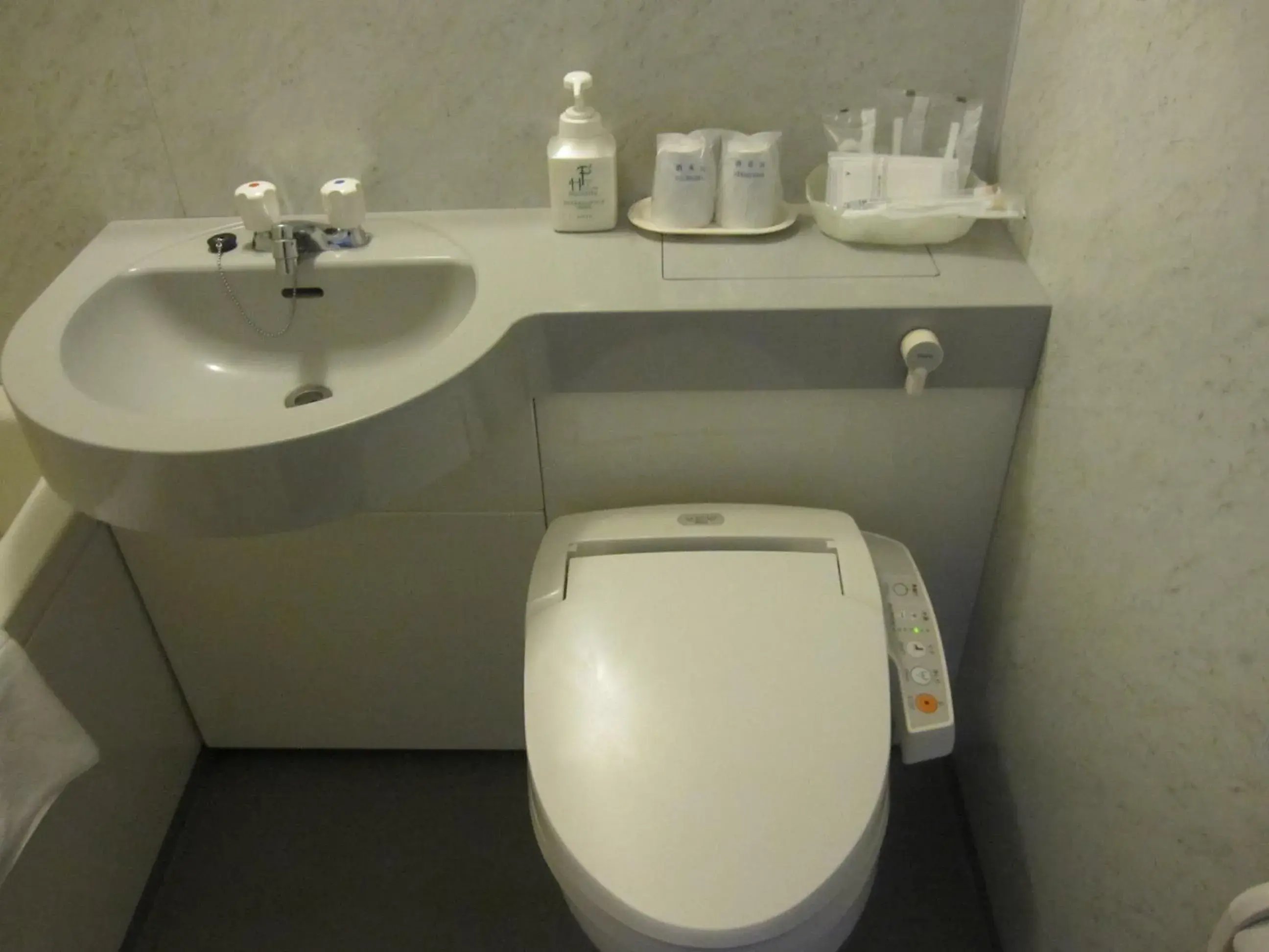 Bathroom in Asahikawa Toyo Hotel