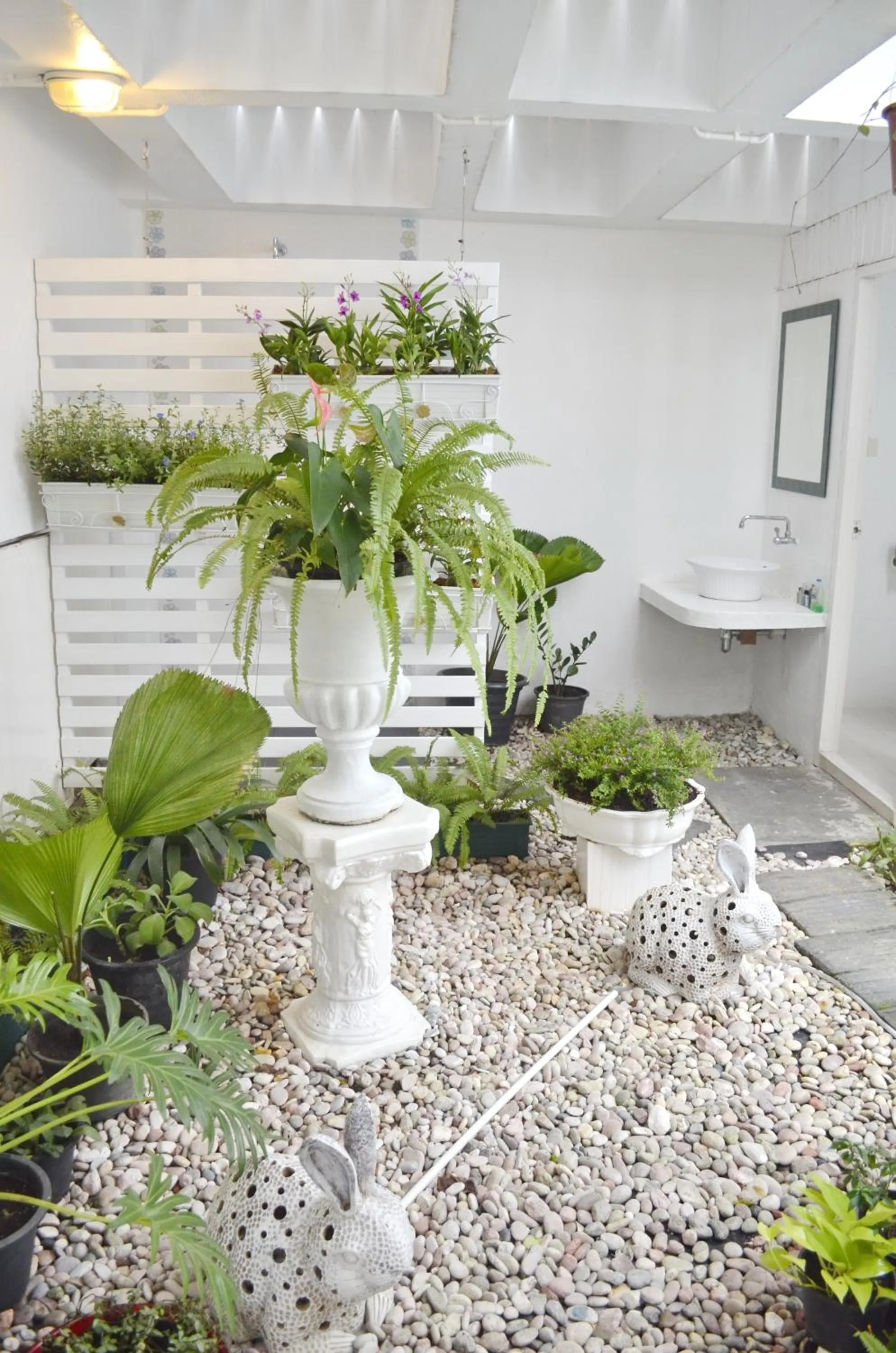 Garden in Casa Blanca Boutique Hotel - SHA Plus
