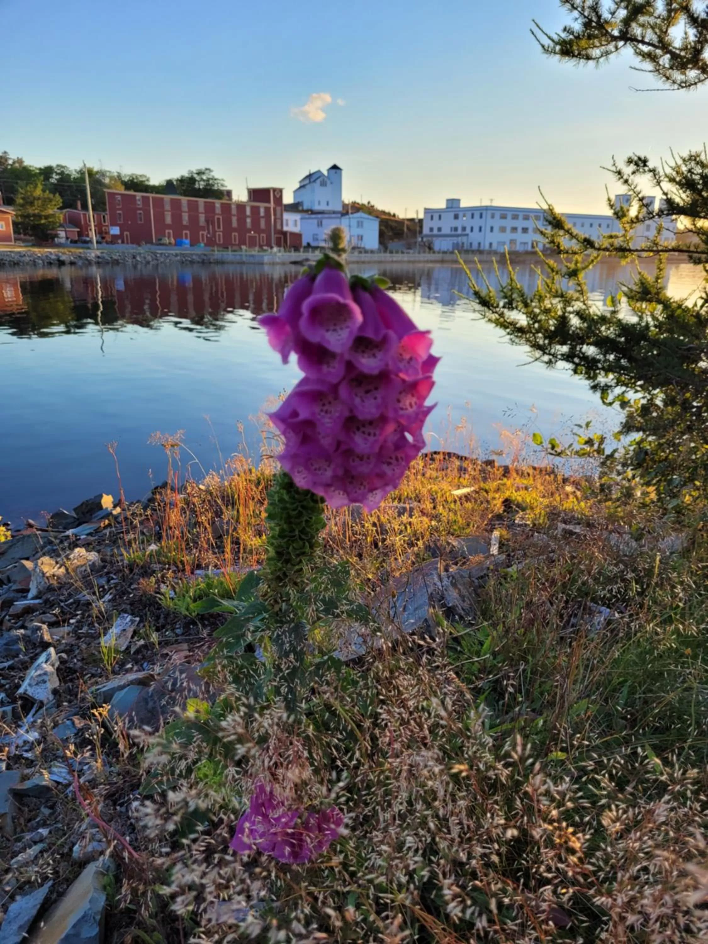 Street view in The Harbourside Inn & Cafe