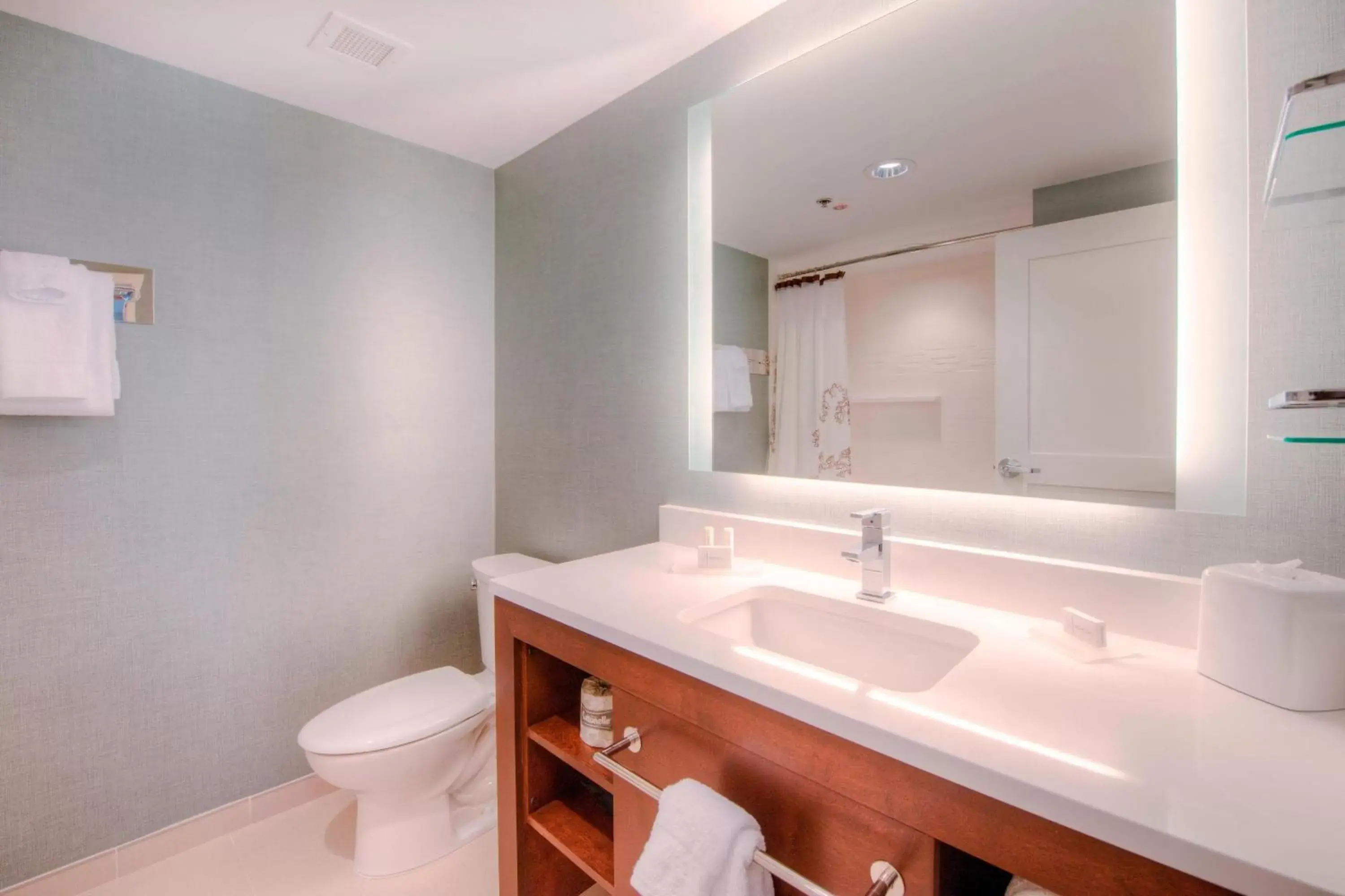 Bathroom in Residence Inn by Marriott Charlotte Airport