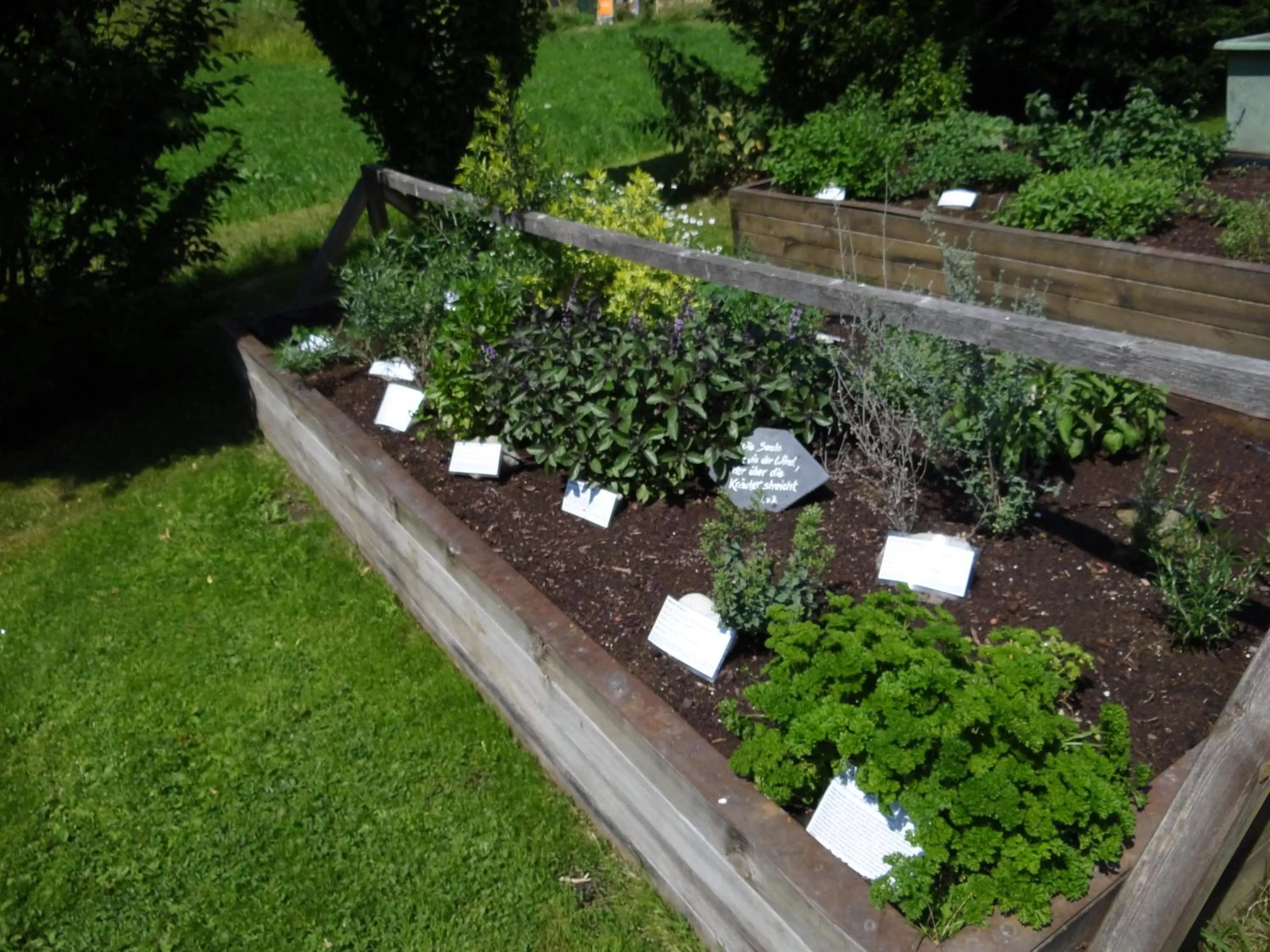 Garden in Gästehaus Bühler