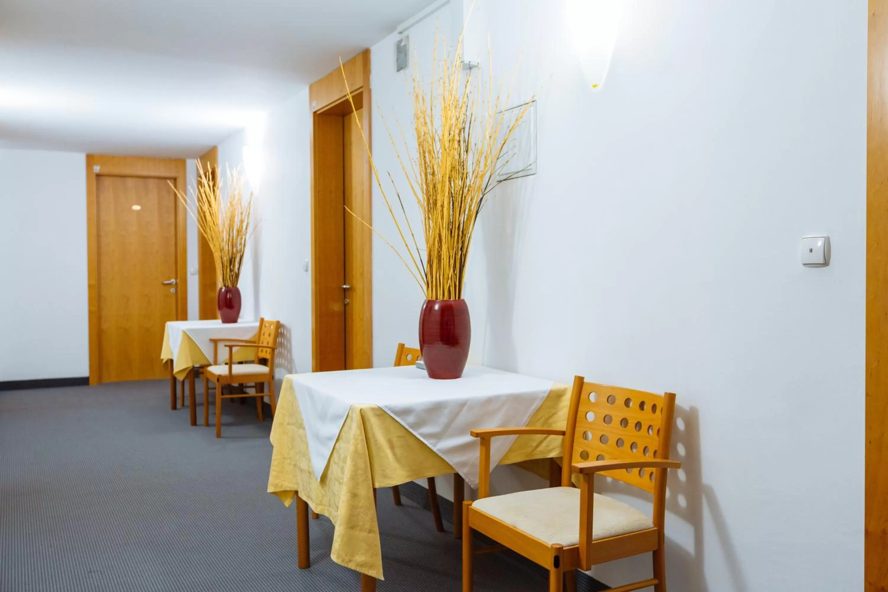 Seating area in Hotel GH Kolinska