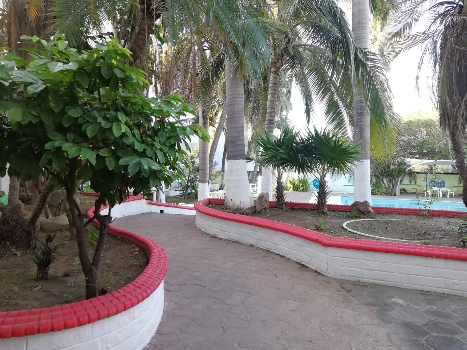 Garden, Swimming Pool in Hotel Essen's