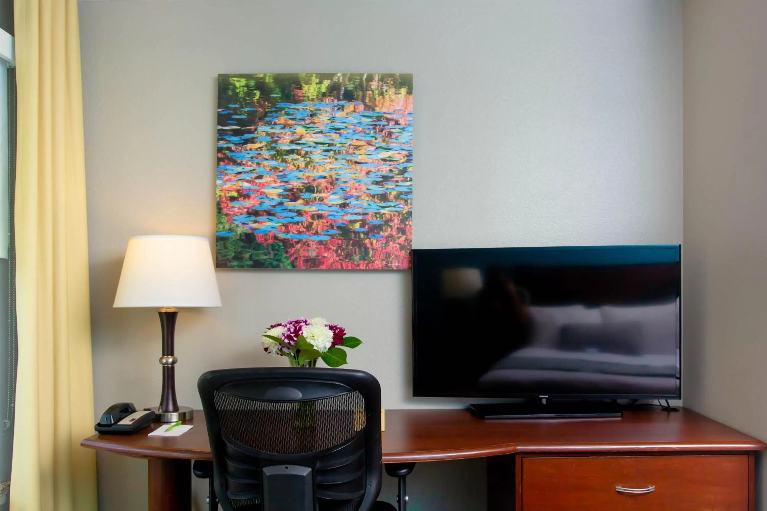 TV and multimedia in Belltown Inn