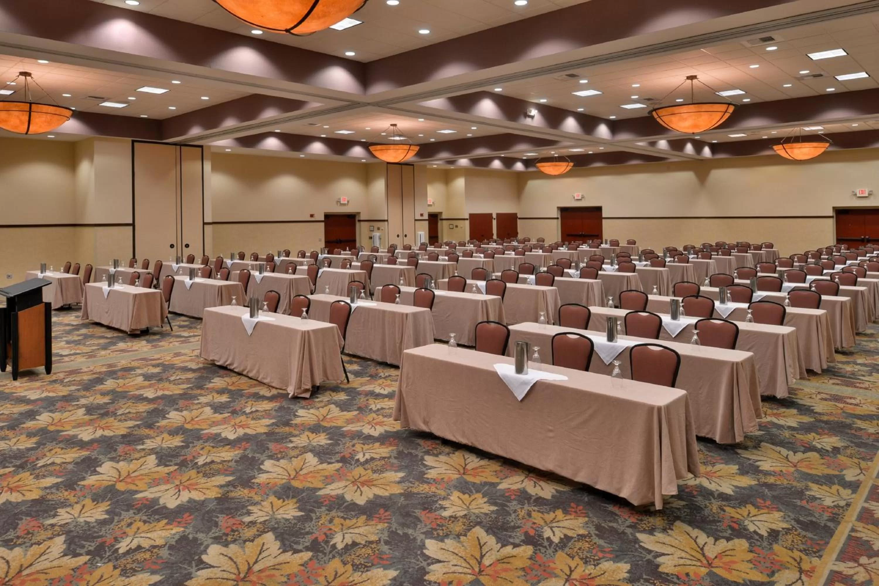 Meeting/conference room in Holiday Inn Stevens Point - Convention Center by IHG