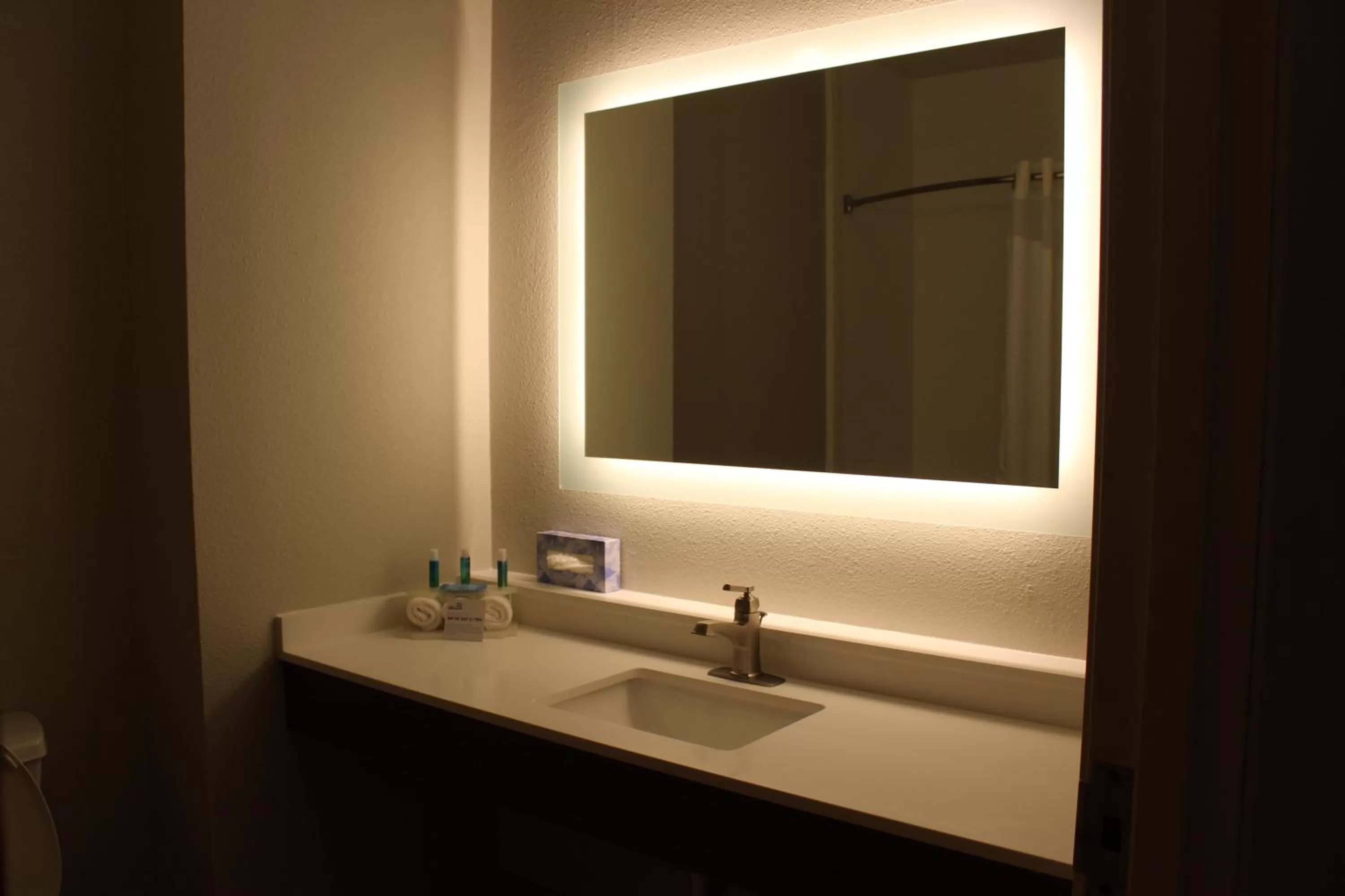 Bathroom in Holiday Inn Express Hotel & Suites Mansfield by IHG