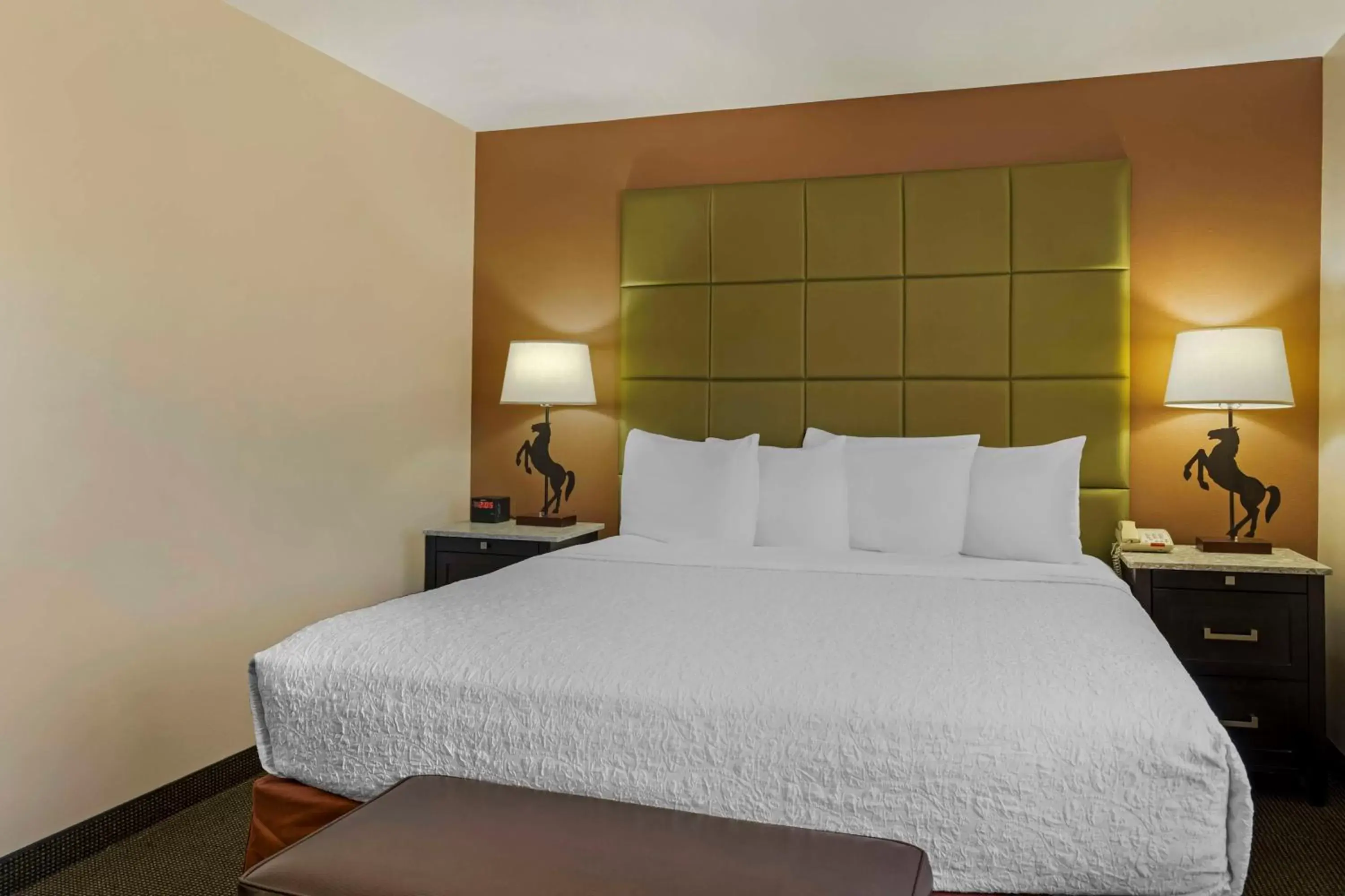 Bedroom, Bed in Best Western Plus Country Inn & Suites Bedroom, Bed in Best Western Plus Country Inn & Suites