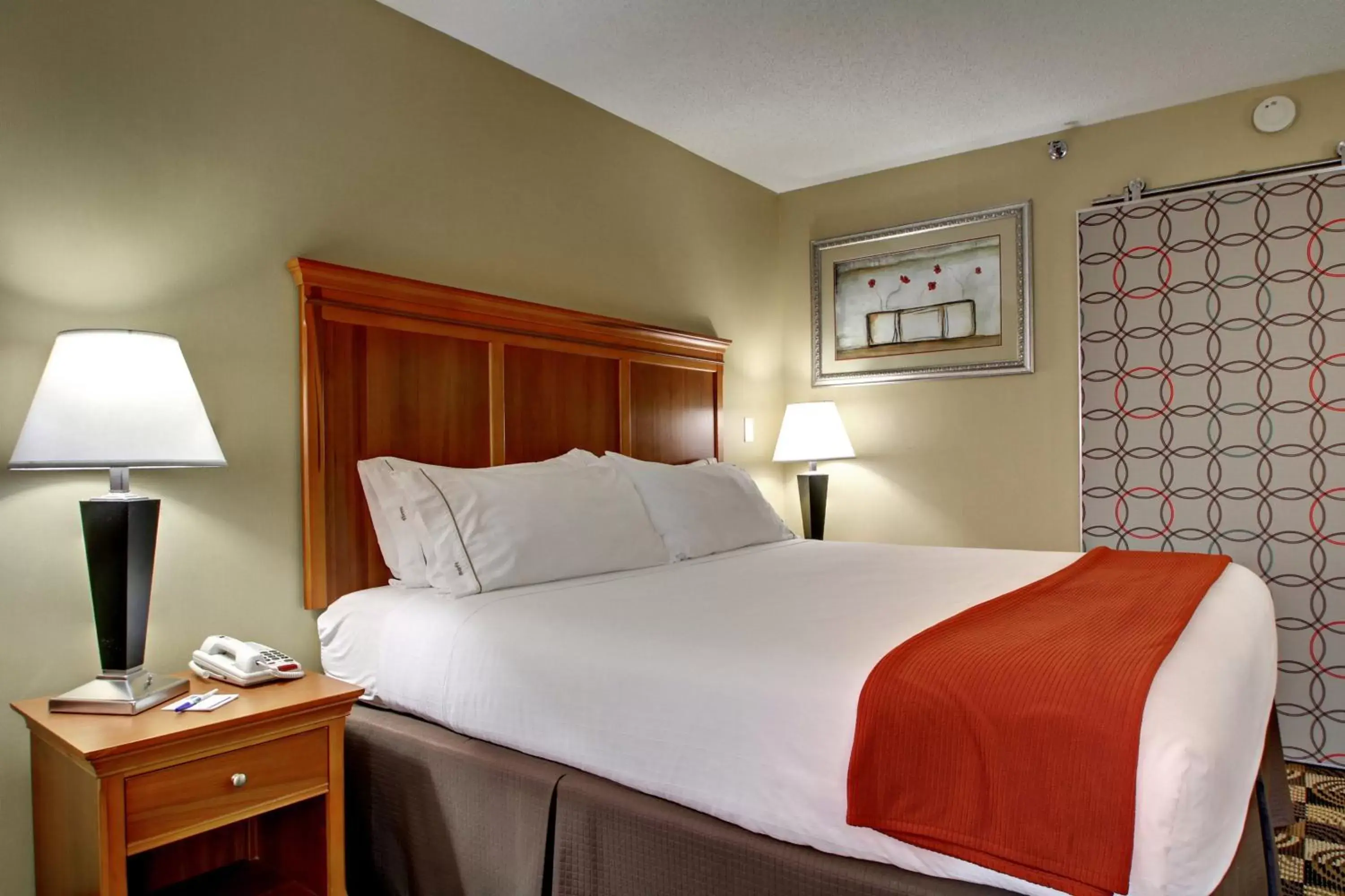 Photo of the whole room, Bed in Holiday Inn Express Hurricane Mills Waverly, an IHG Hotel