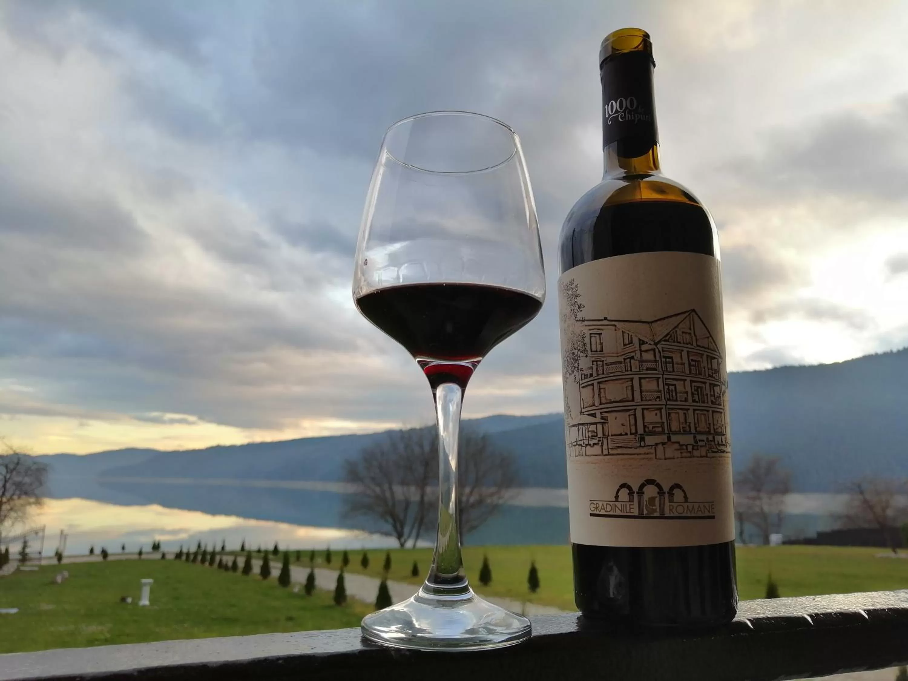 Lounge or bar in Gradinile Romane