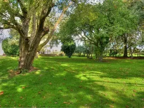 Property building, Garden in The White Horse View B&B