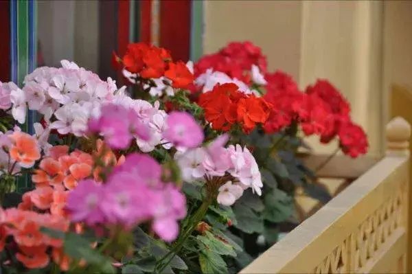 Decorative detail in Tashitakge Hotel