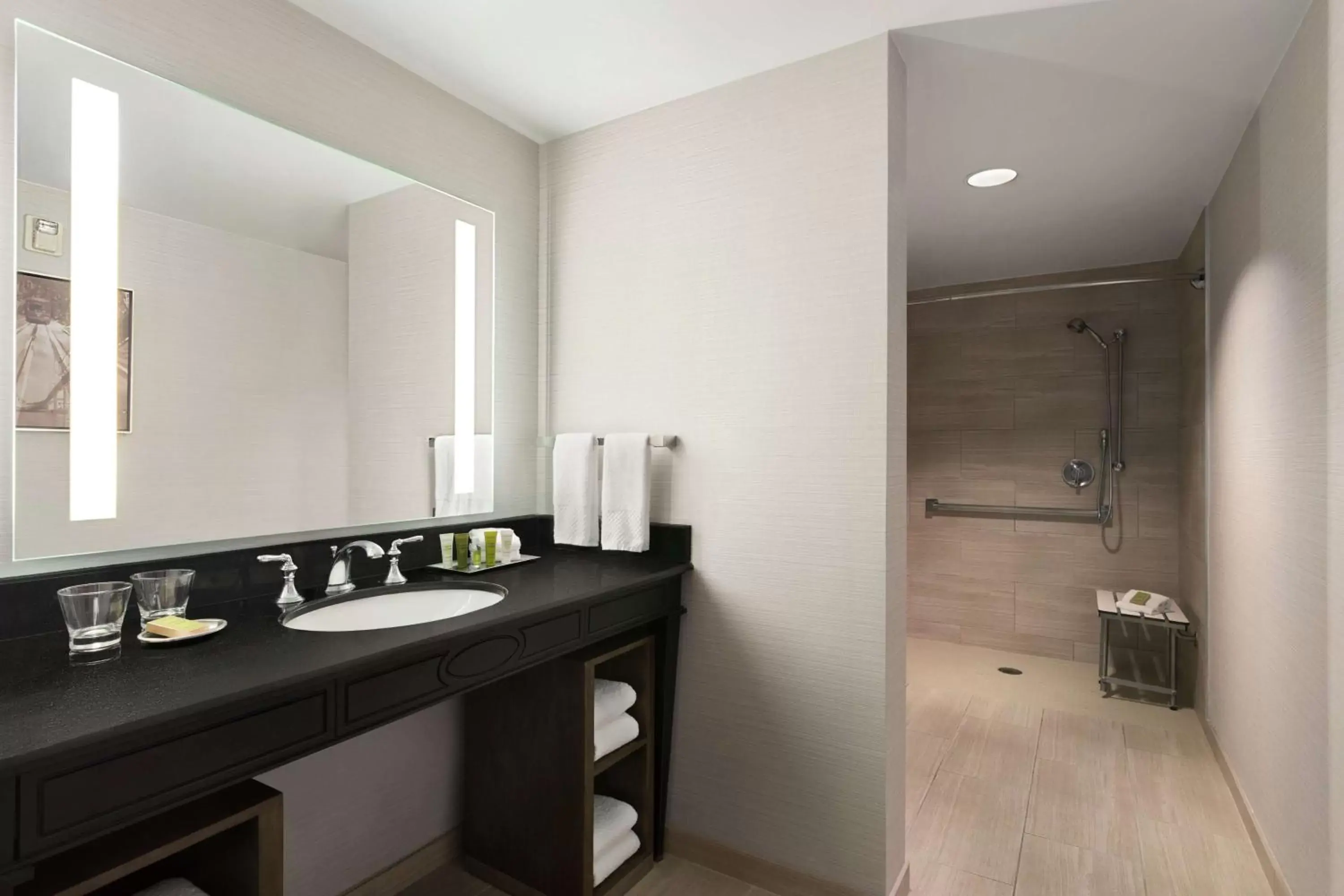 King Room with Roll-In Shower - Mobility Access in Hilton New Orleans / St. Charles Avenue King Room with Roll-In Shower - Mobility Access in Hilton New Orleans / St. Charles Avenue