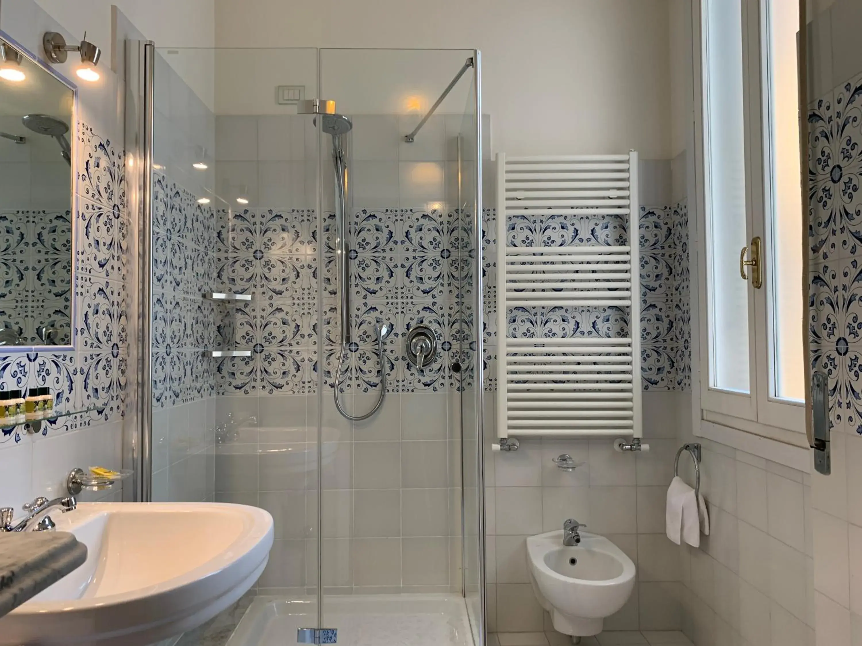 Shower, Bathroom in Hotel David