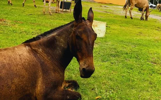 group of guests in Pousada Jovimar