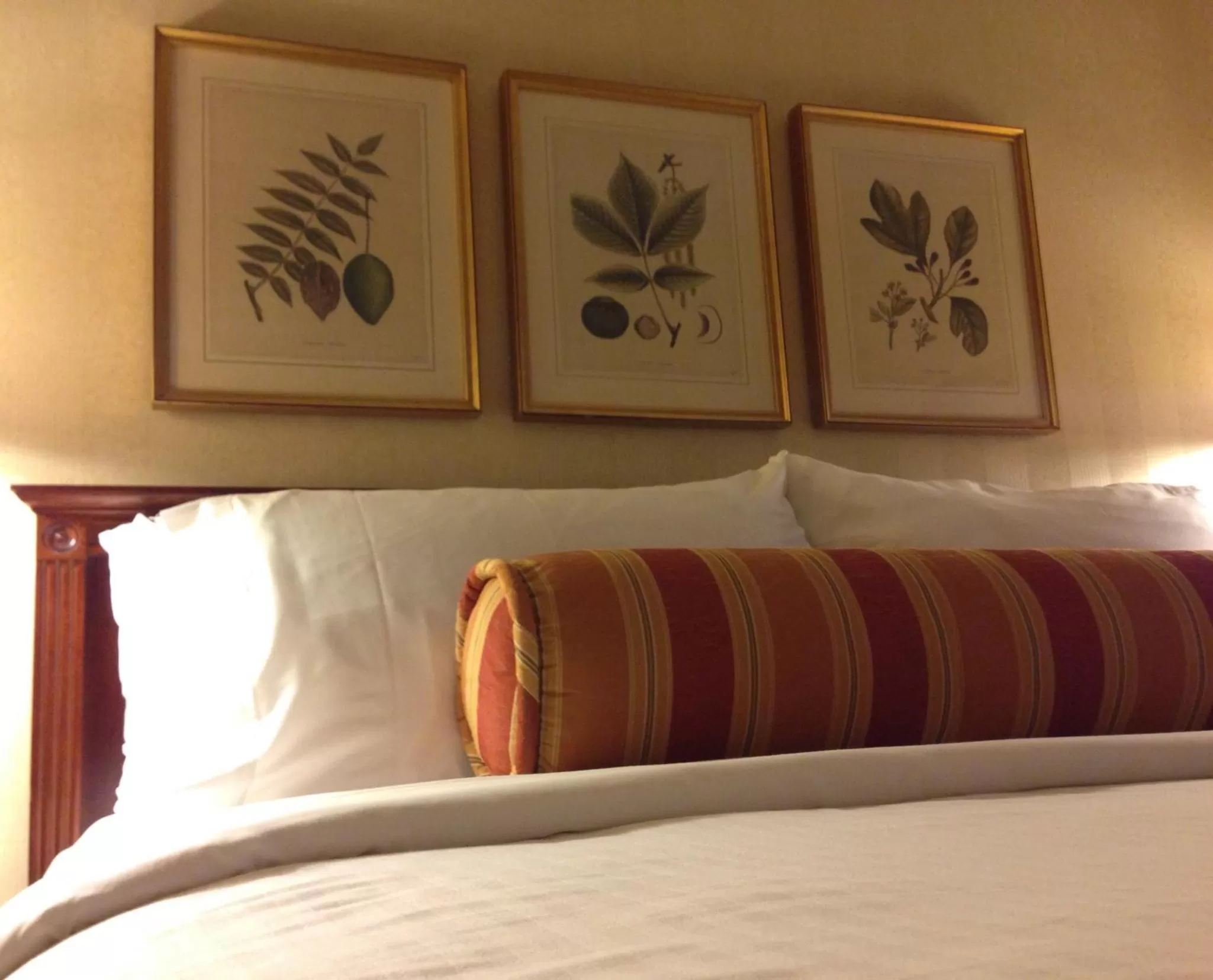 Queen Room in Mayflower Park Hotel