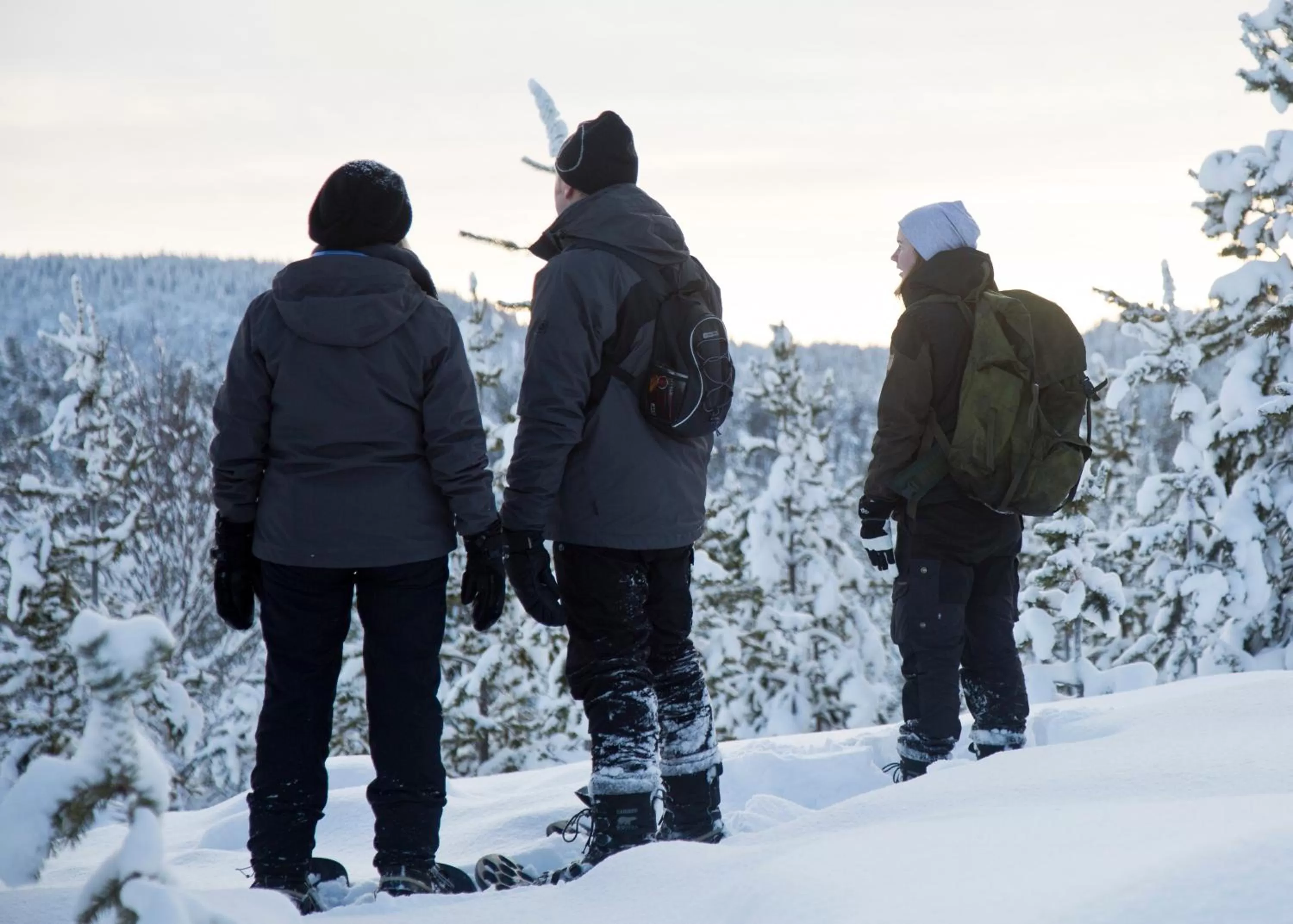 Activities in Wilderness Hotel Inari & Igloos