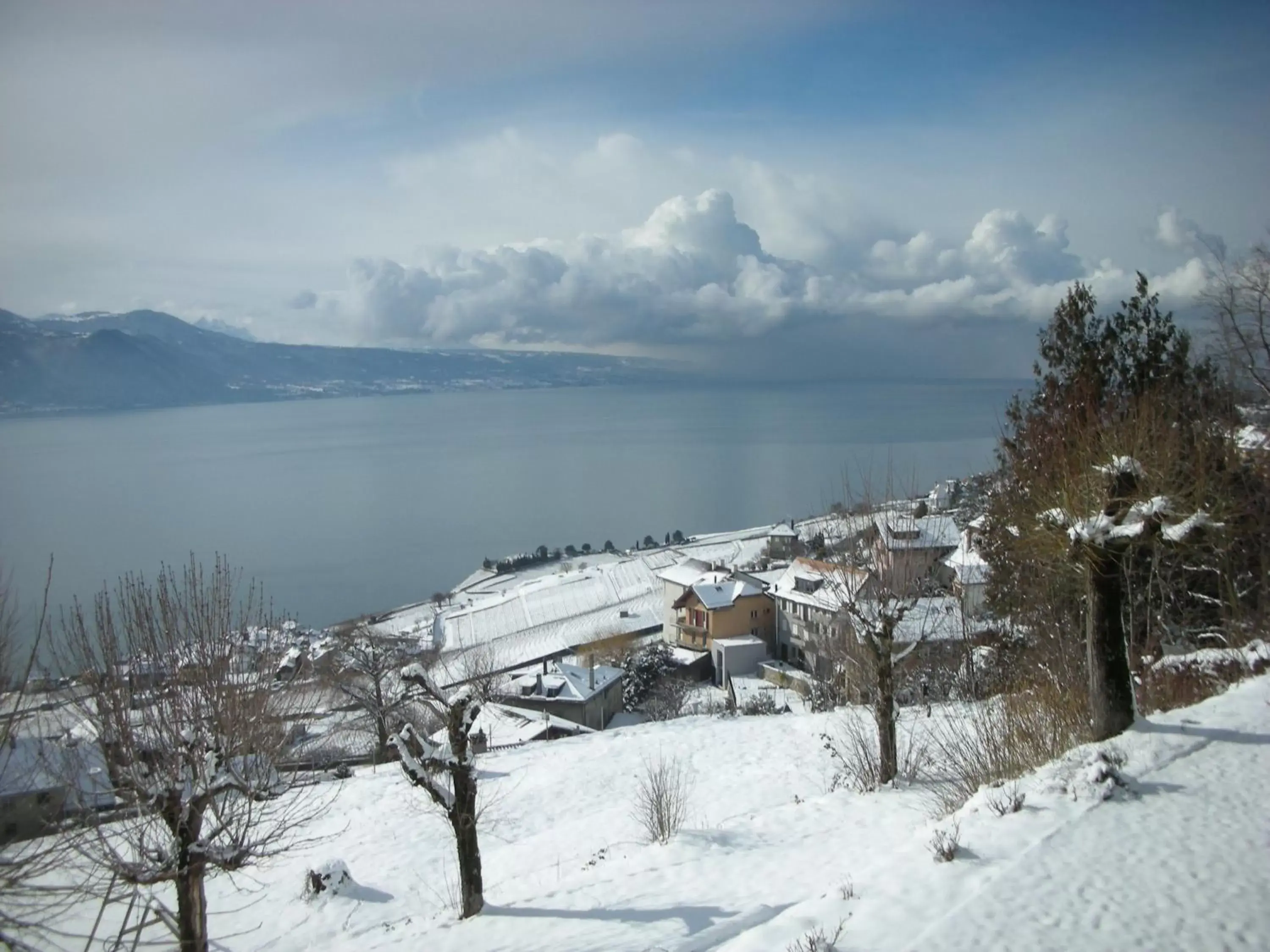 Bird's eye view, Winter in Prealpina