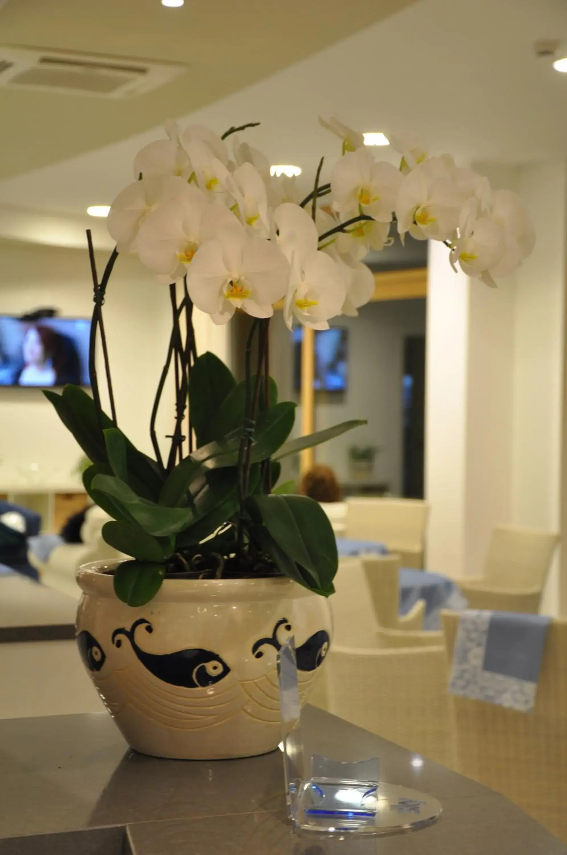 Communal lounge/ TV room in Tullio Hotel