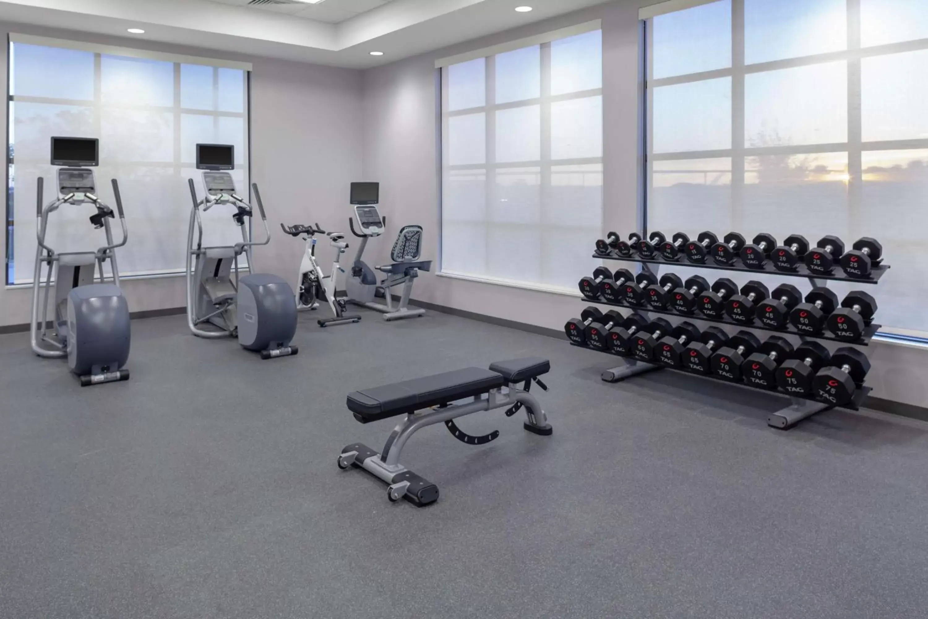Fitness centre/facilities, Fitness Center/Facilities in Hilton Garden Inn Waco