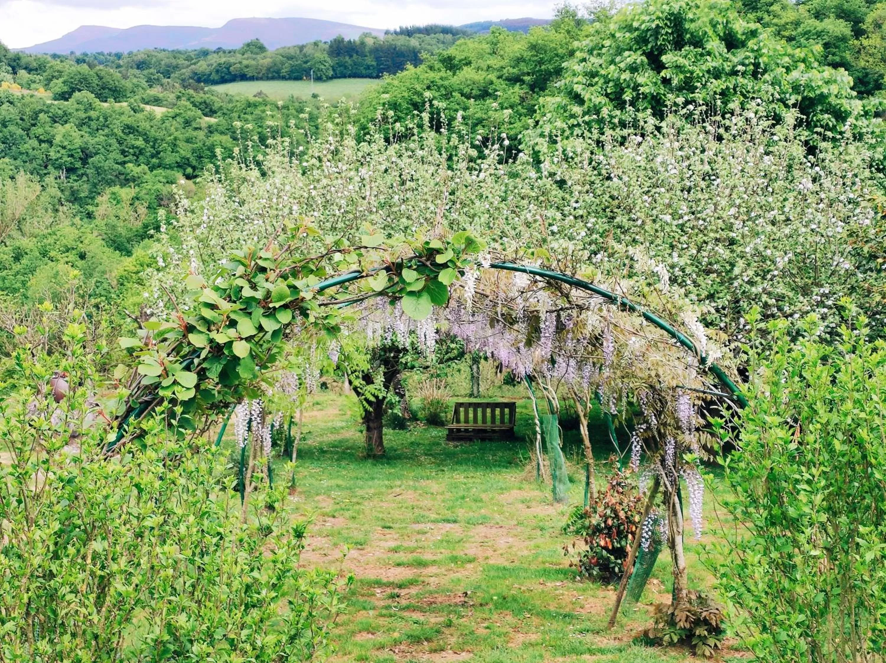 Garden, Property Building in Hotel Casa de Díaz