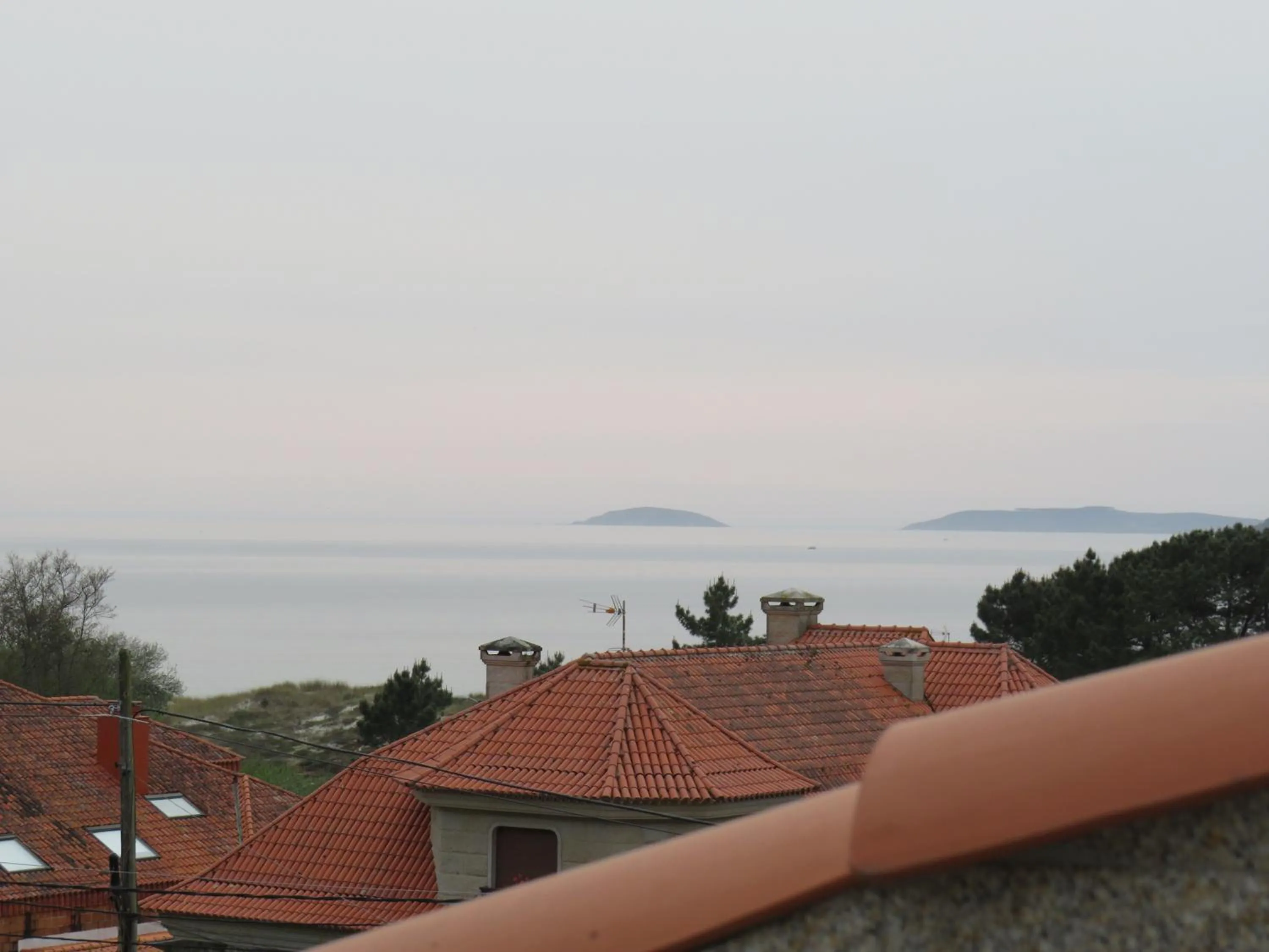 View (from property/room) in Hotel Baixamar