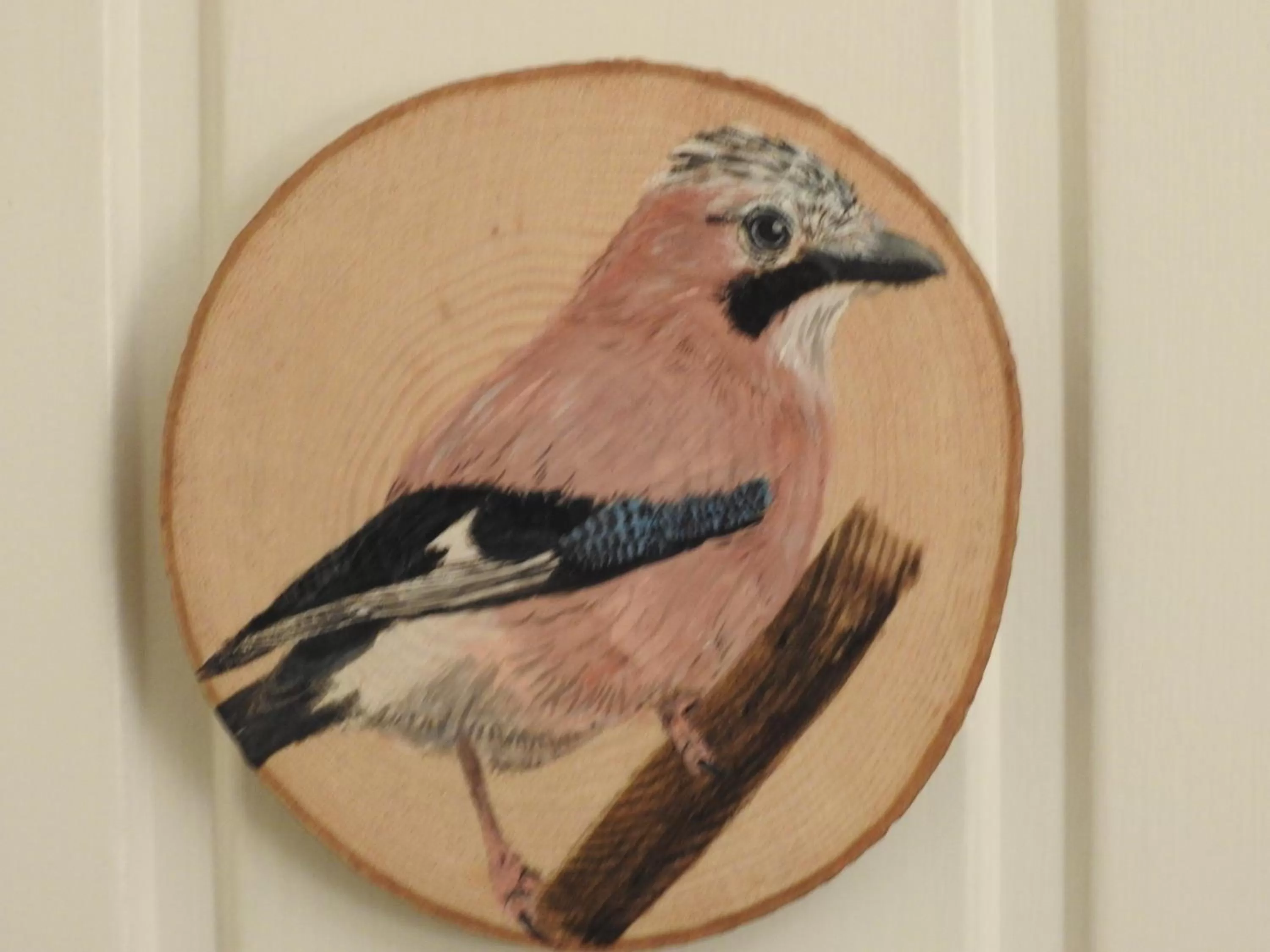 La Ruche Chambres d'hôtes