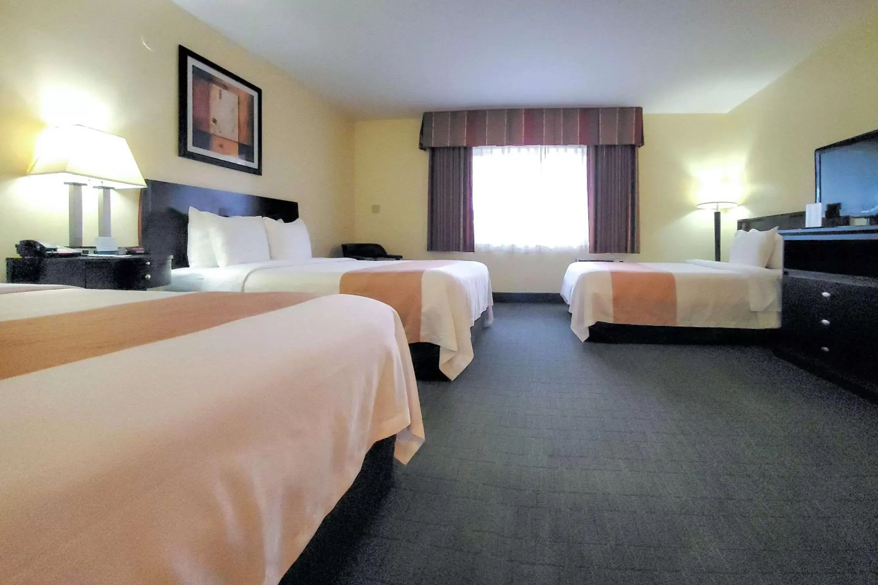 Bedroom, Bed in Quality Inn & Suites Anaheim at the Park