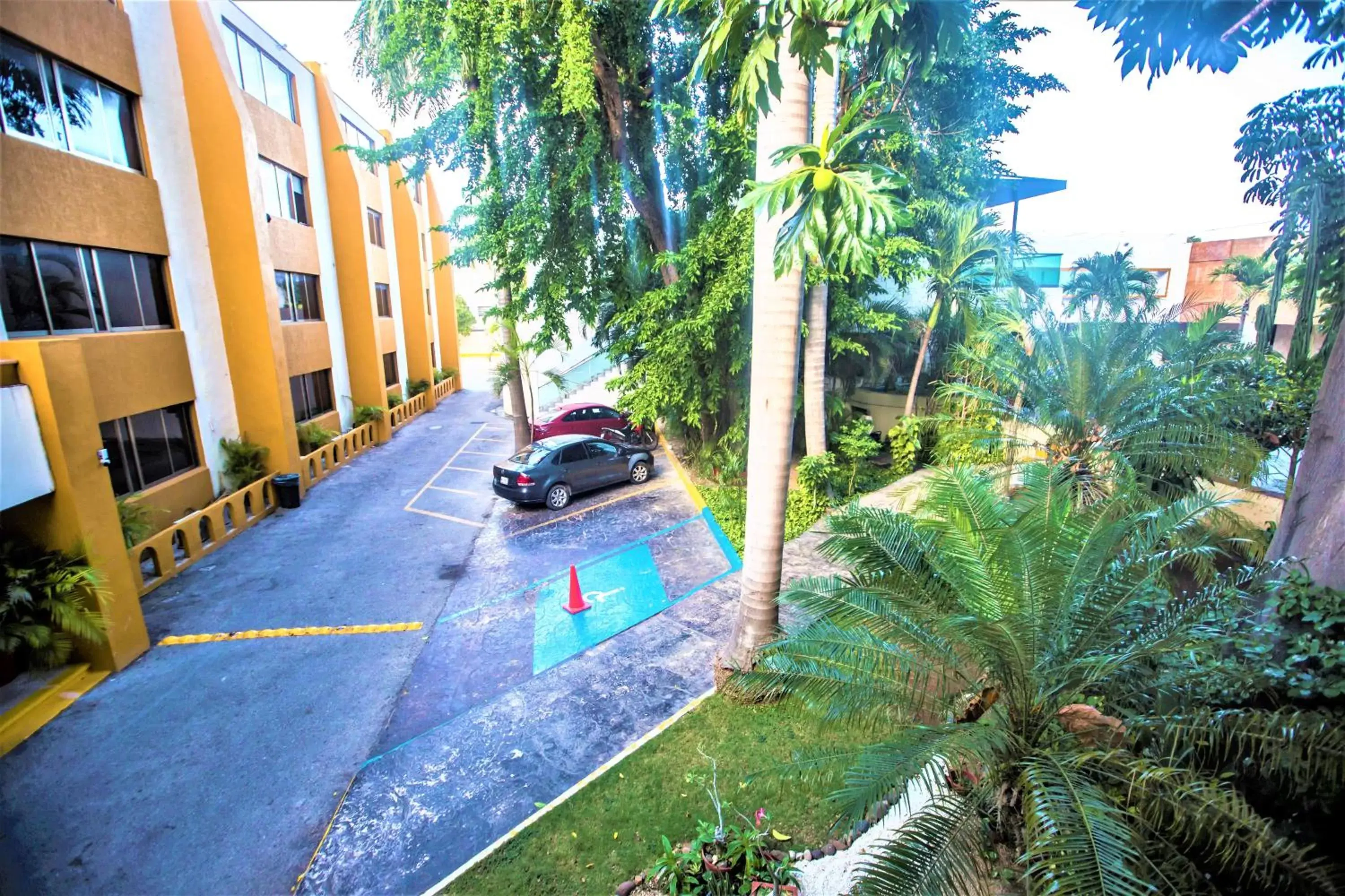 Garden view in Hotel Plaza Mirador Garden view in Hotel Plaza Mirador