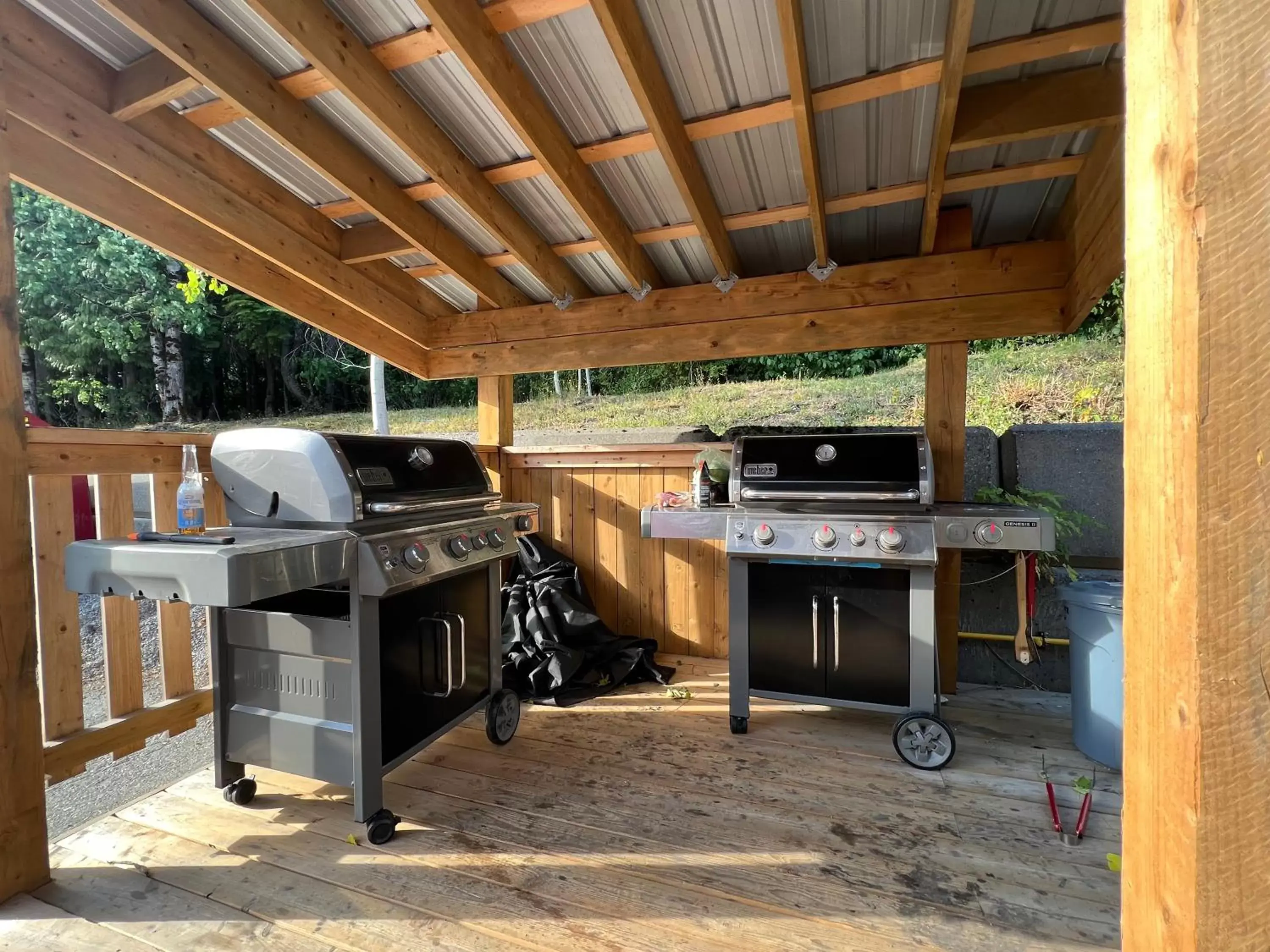 Day, BBQ Facilities in Chalet Inn