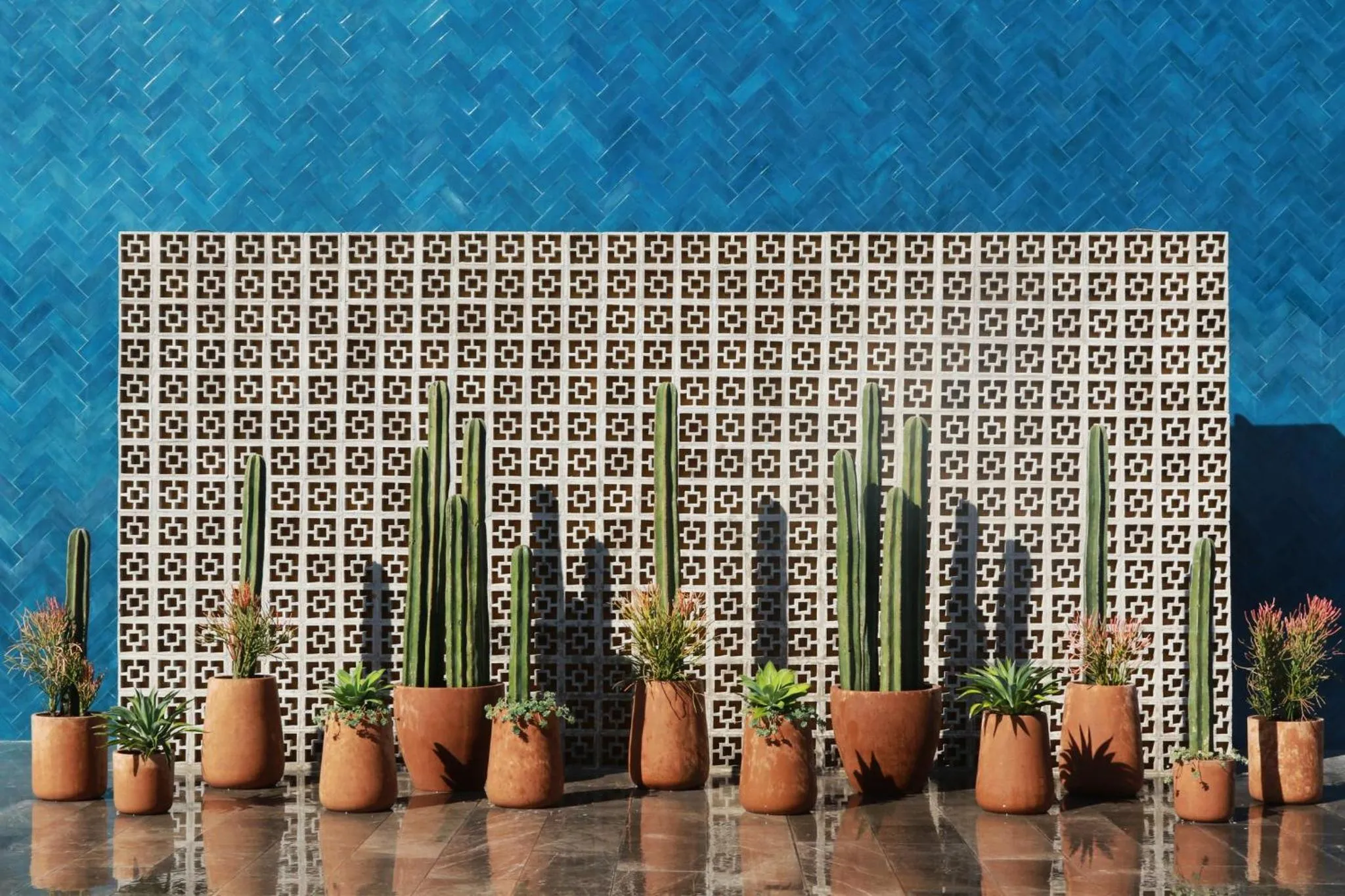 Spa and wellness centre/facilities in voco Guadalajara Neruda by IHG