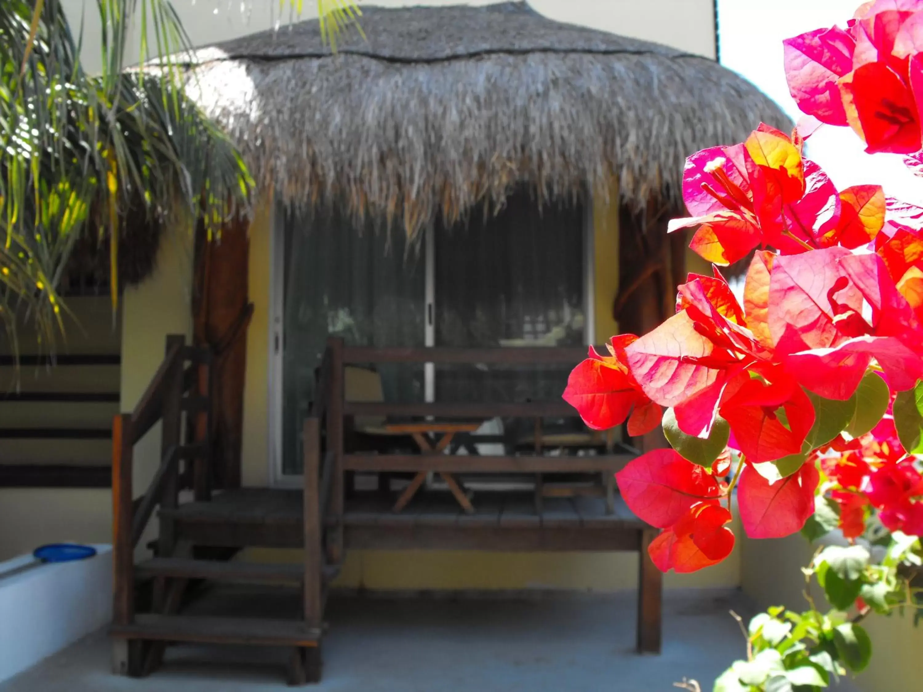 Balcony/Terrace in Hotel Riviera Caribe Maya