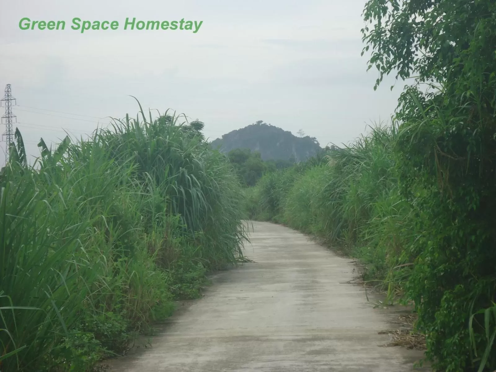 Off site in Green Space Homestay