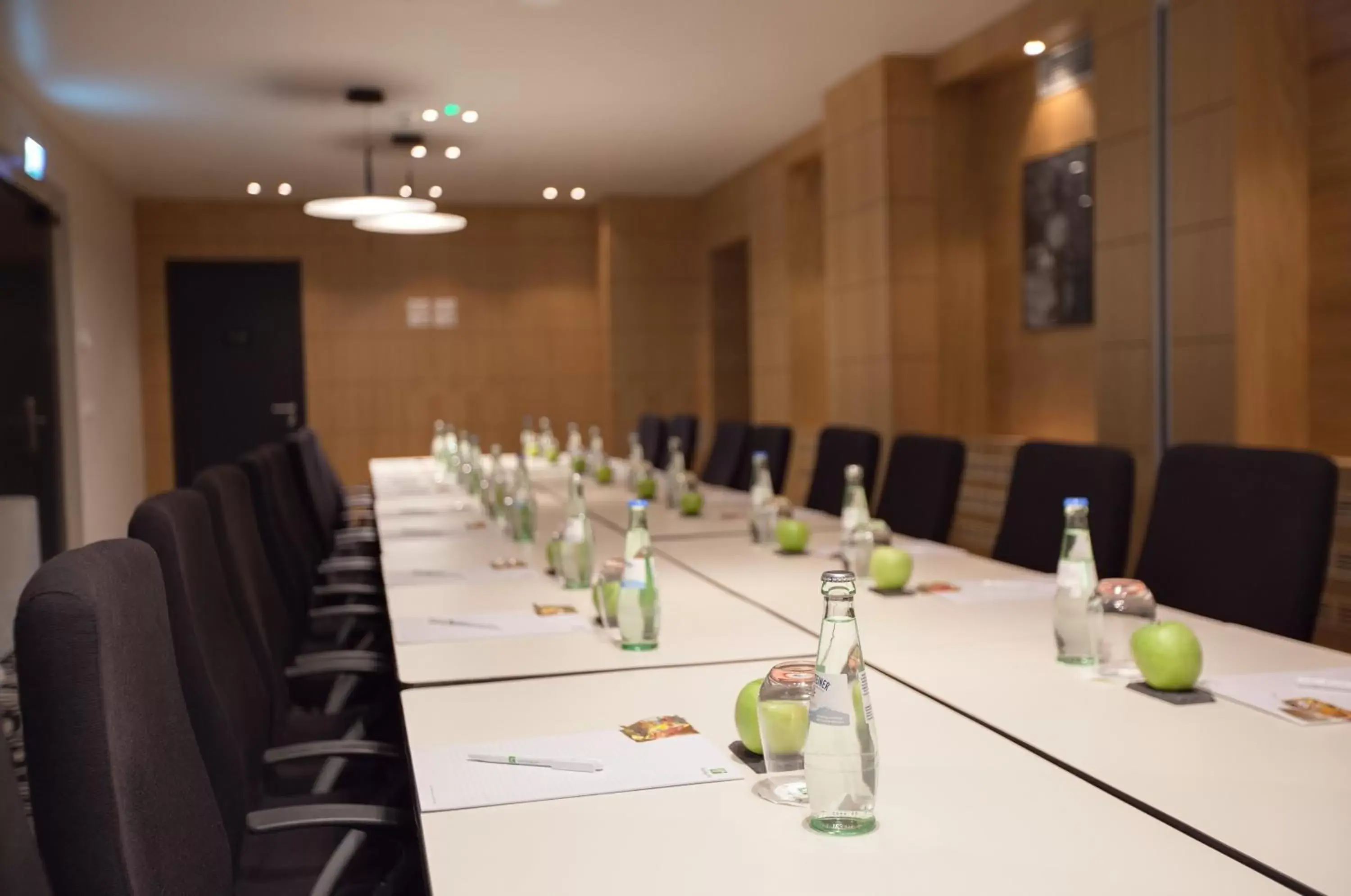 Meeting/conference room in Holiday Inn Dresden - Am Zwinger, an IHG Hotel