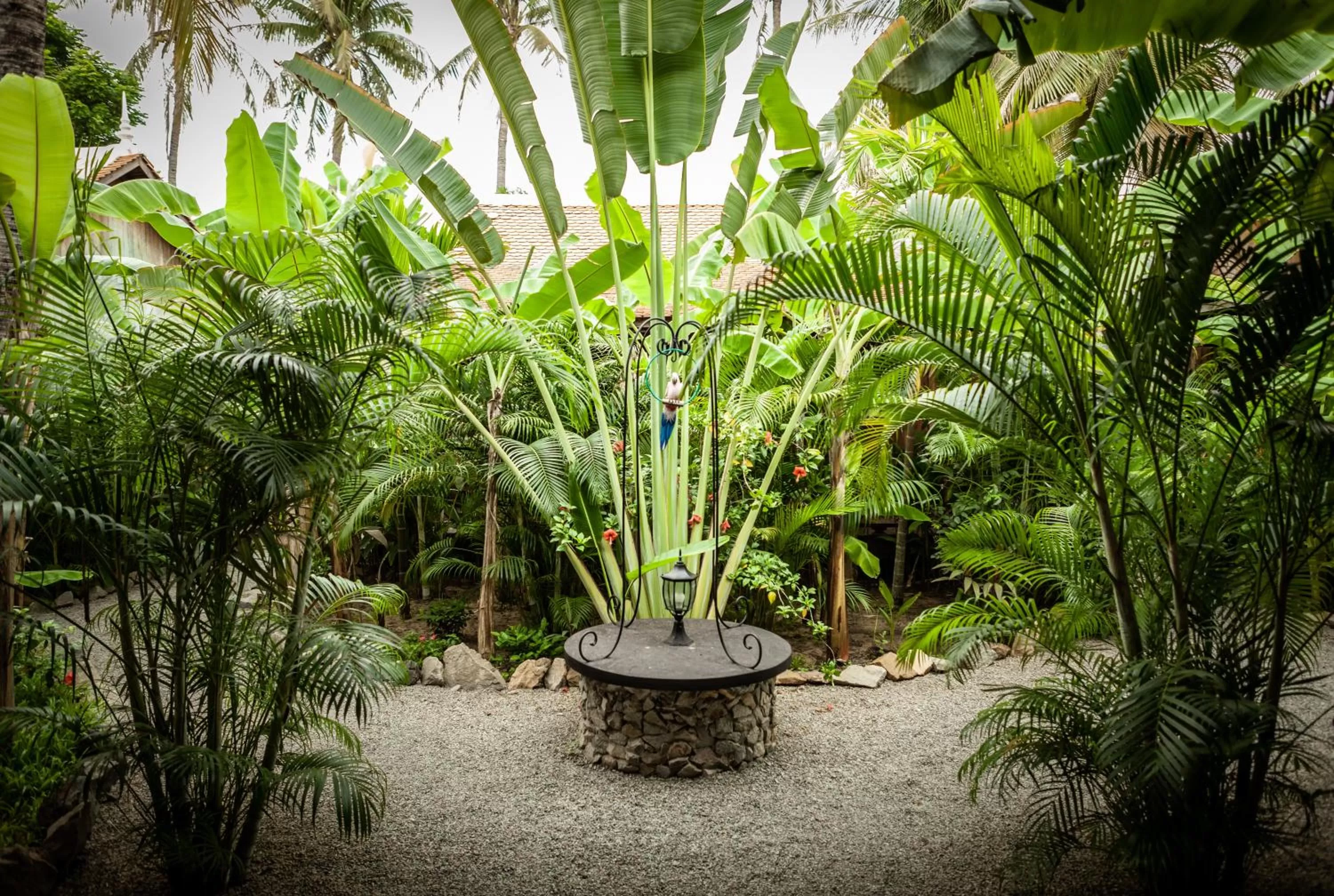 Garden in Authentic Khmer Village Resort