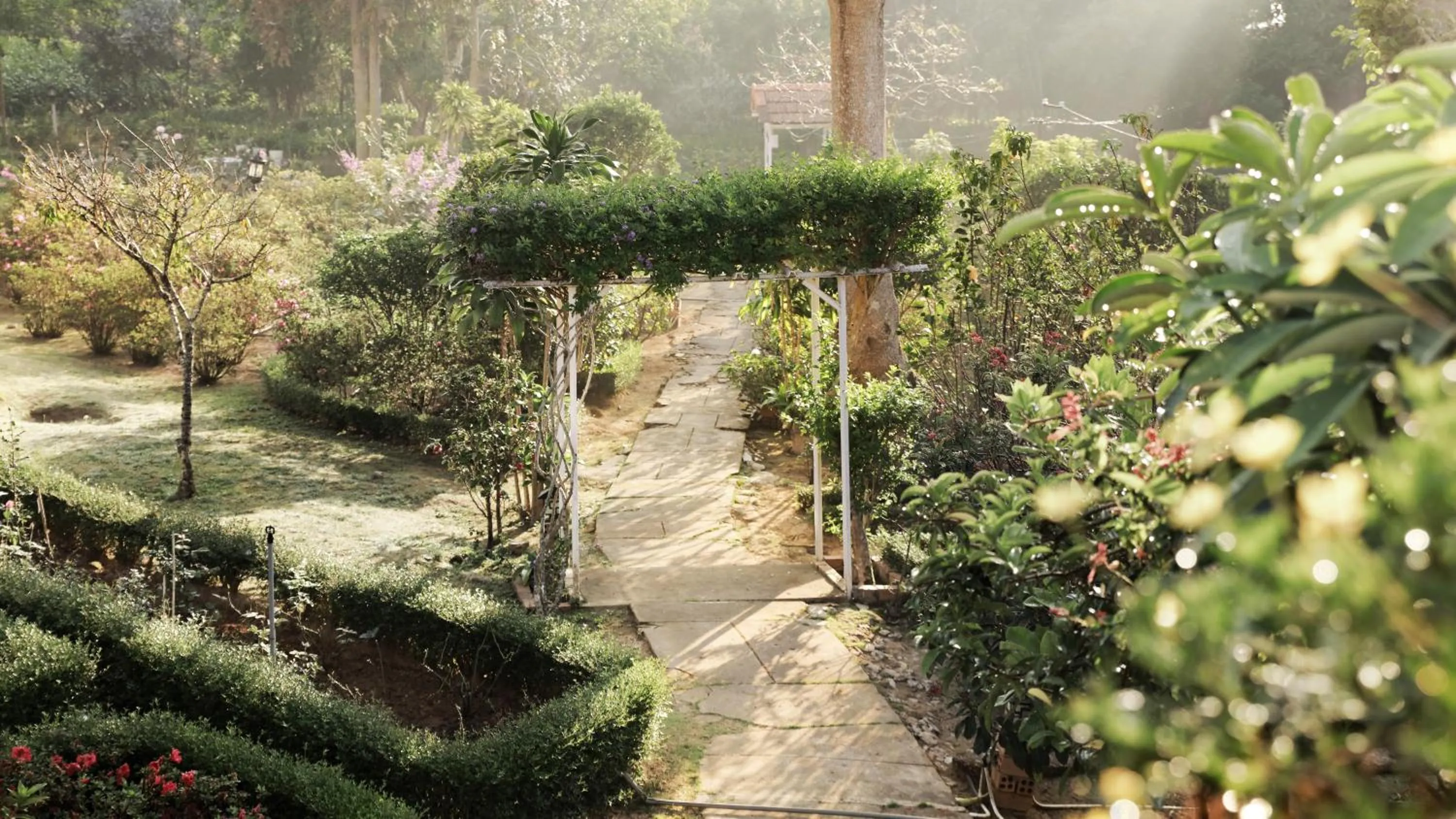 Dalat Terrasse Des Roses Villa