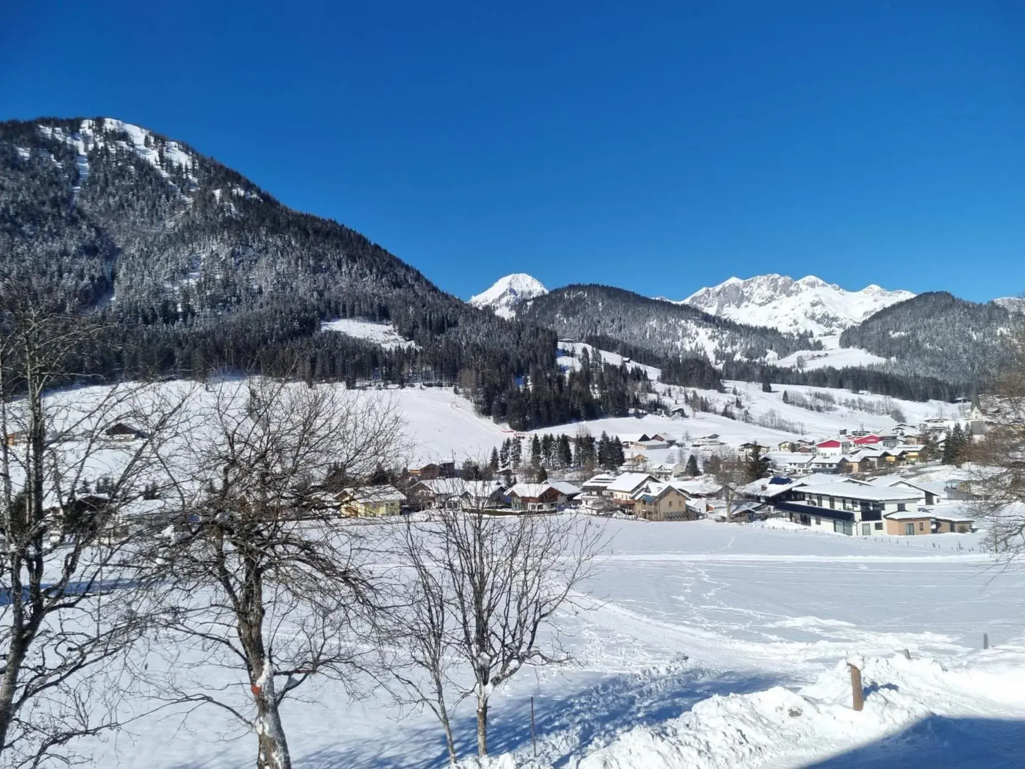 Natural landscape, Winter in Alpenhof