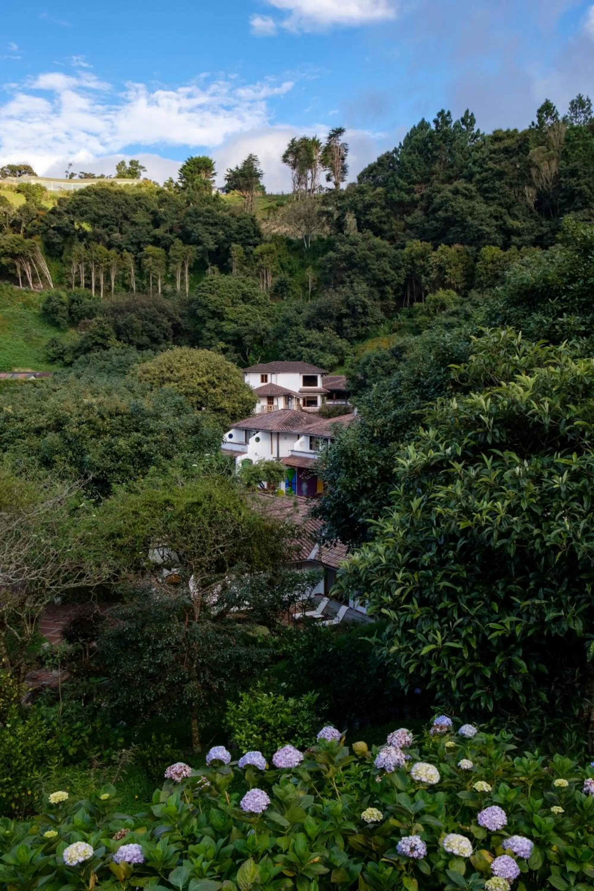 Garden view in Luna Volcán, Adventure SPA - formerly Luna Runtún