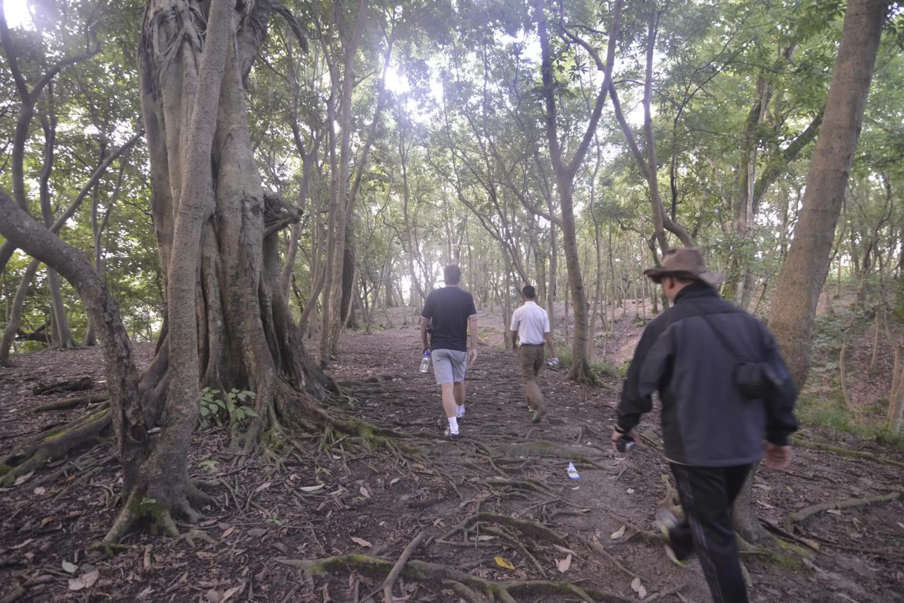 Hiking in Gokarna Forest Resort